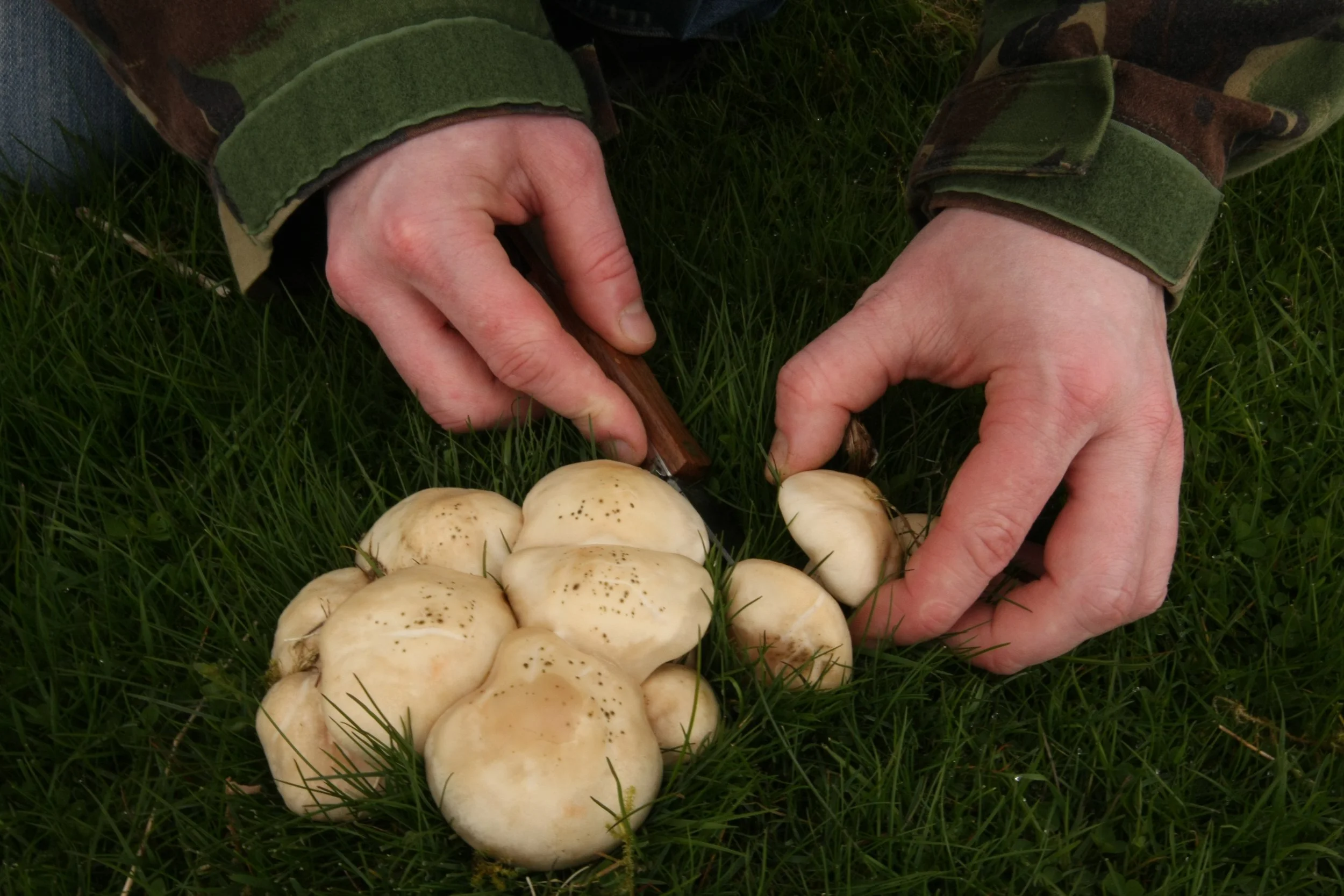 The real start to the season?