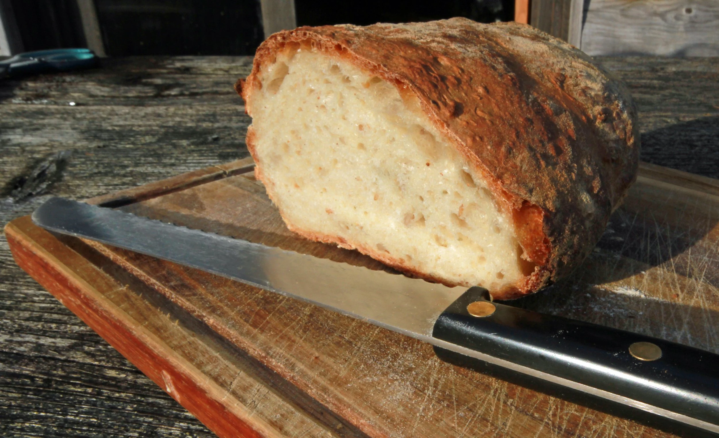 Sourdough: Indoor foraging