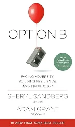 option b.jpg