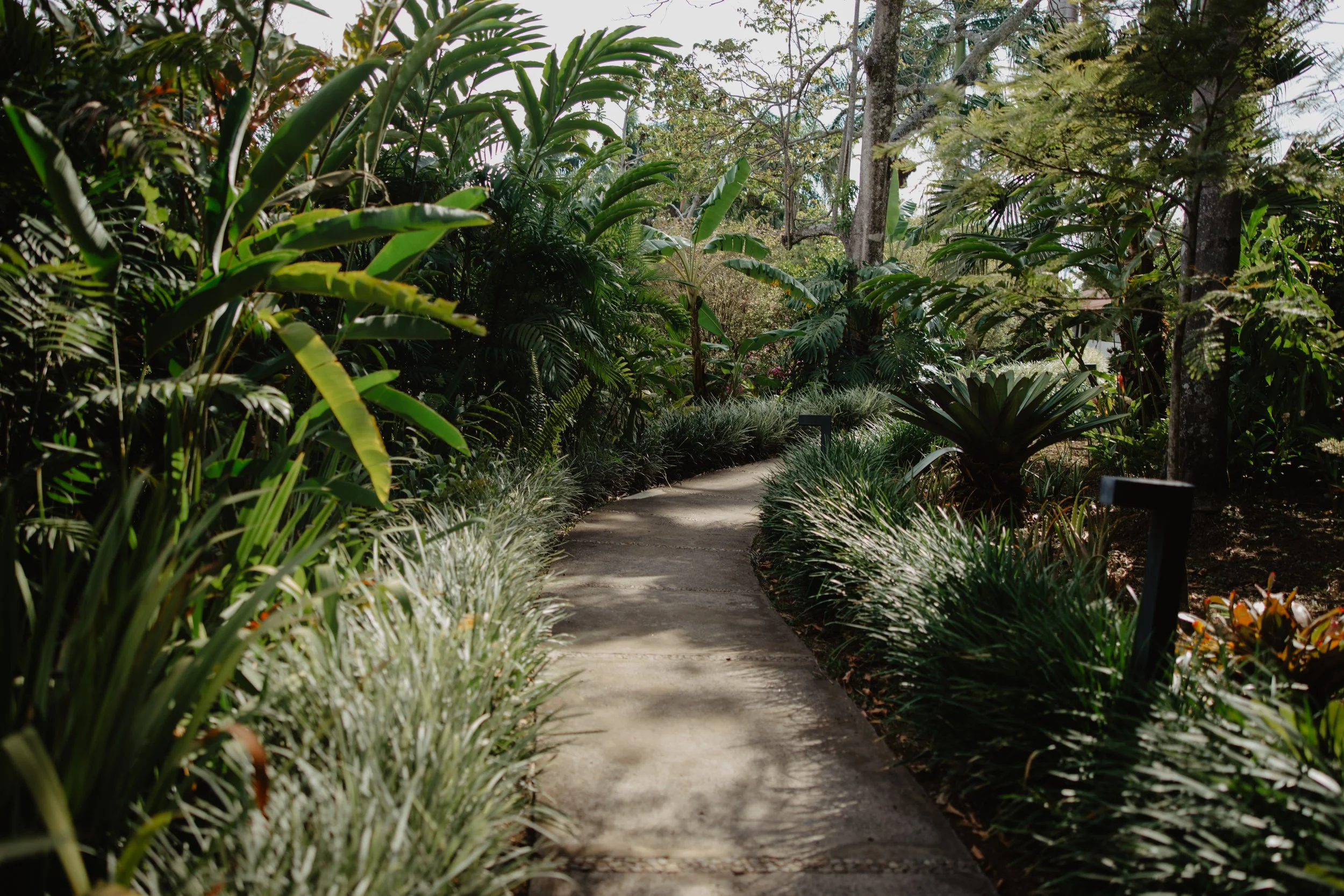 RRPuraVida_Grounds116.jpg