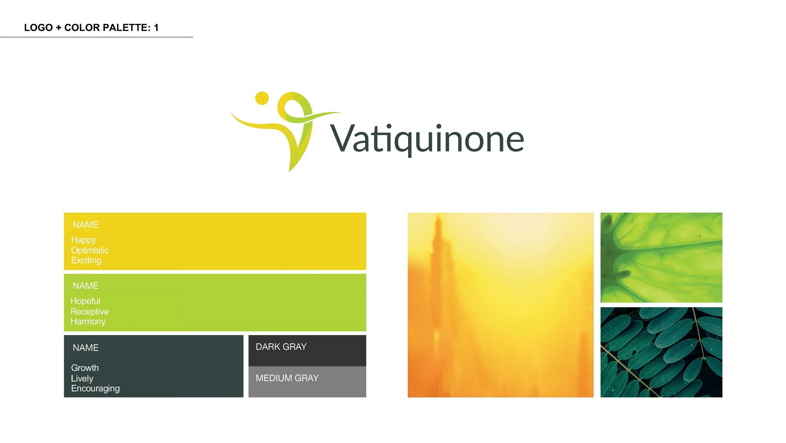 PTC_Vatiquinone_Logos_r03_Page_06.jpg