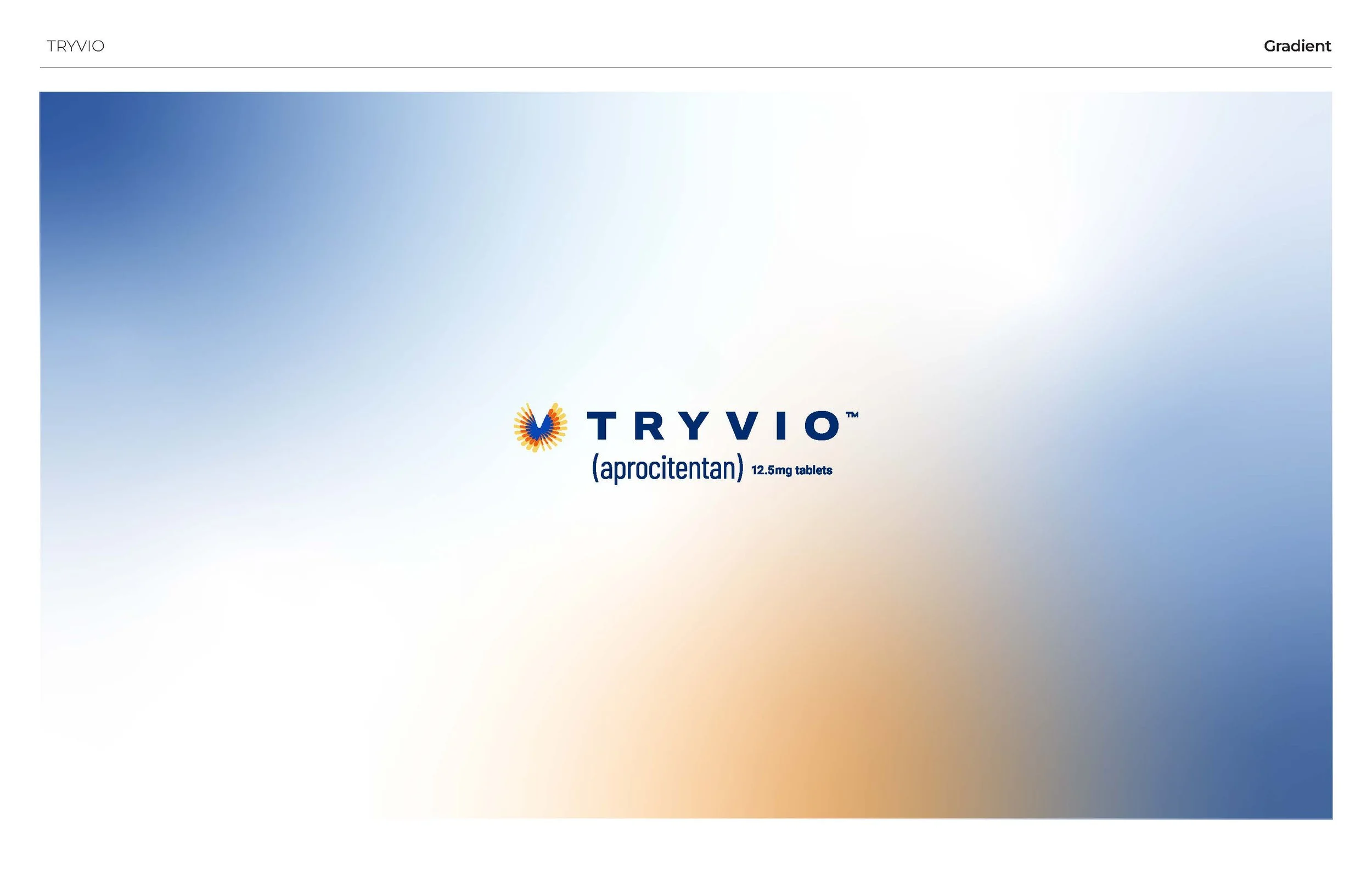 Branding examples 2025_Page_09.jpg