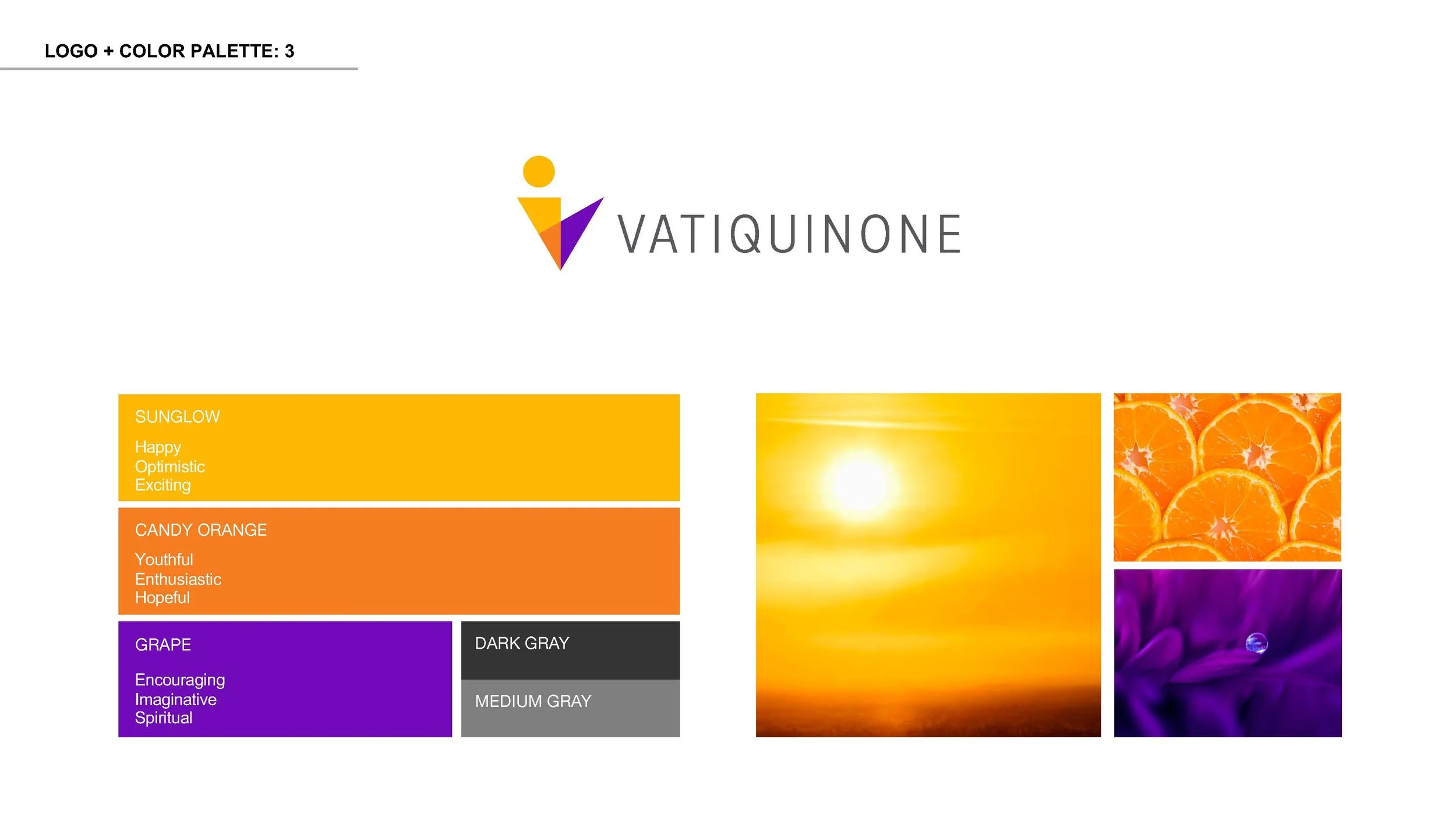 PTC_Vatiquinone_Logos_r03_Page_08.jpg