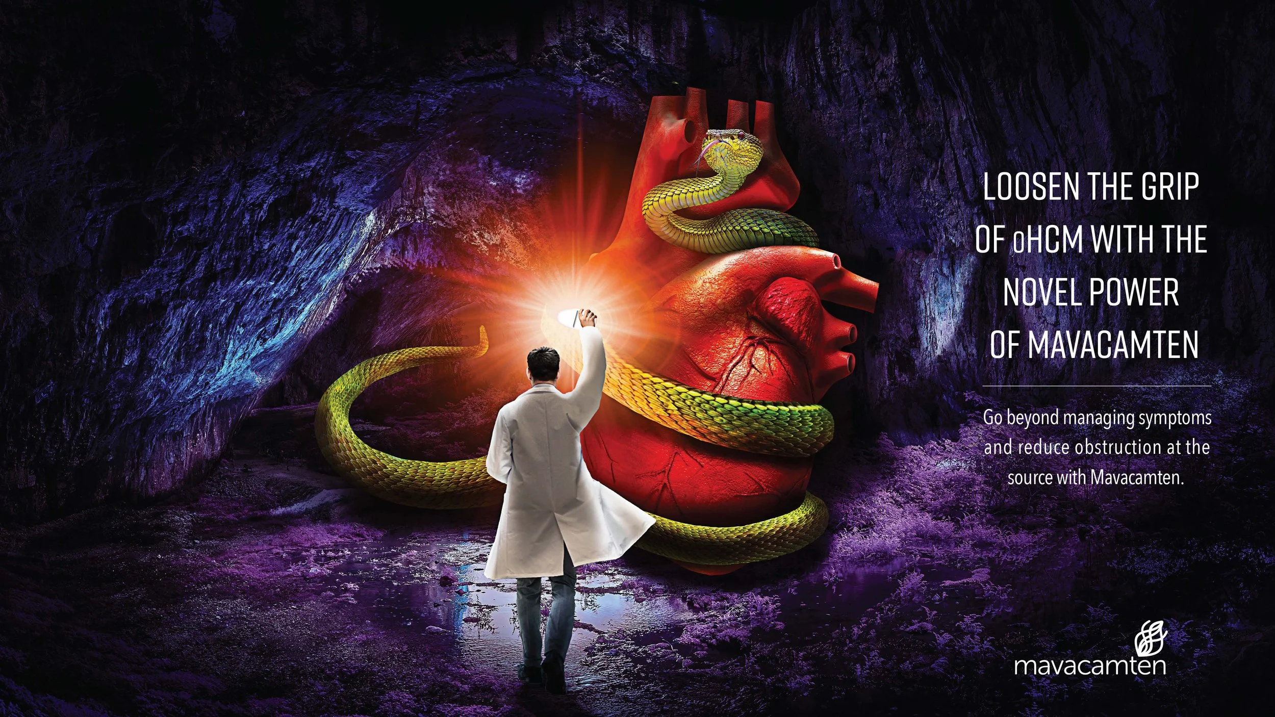 Mavacamten pitch concepts FN done_Page_3.jpg