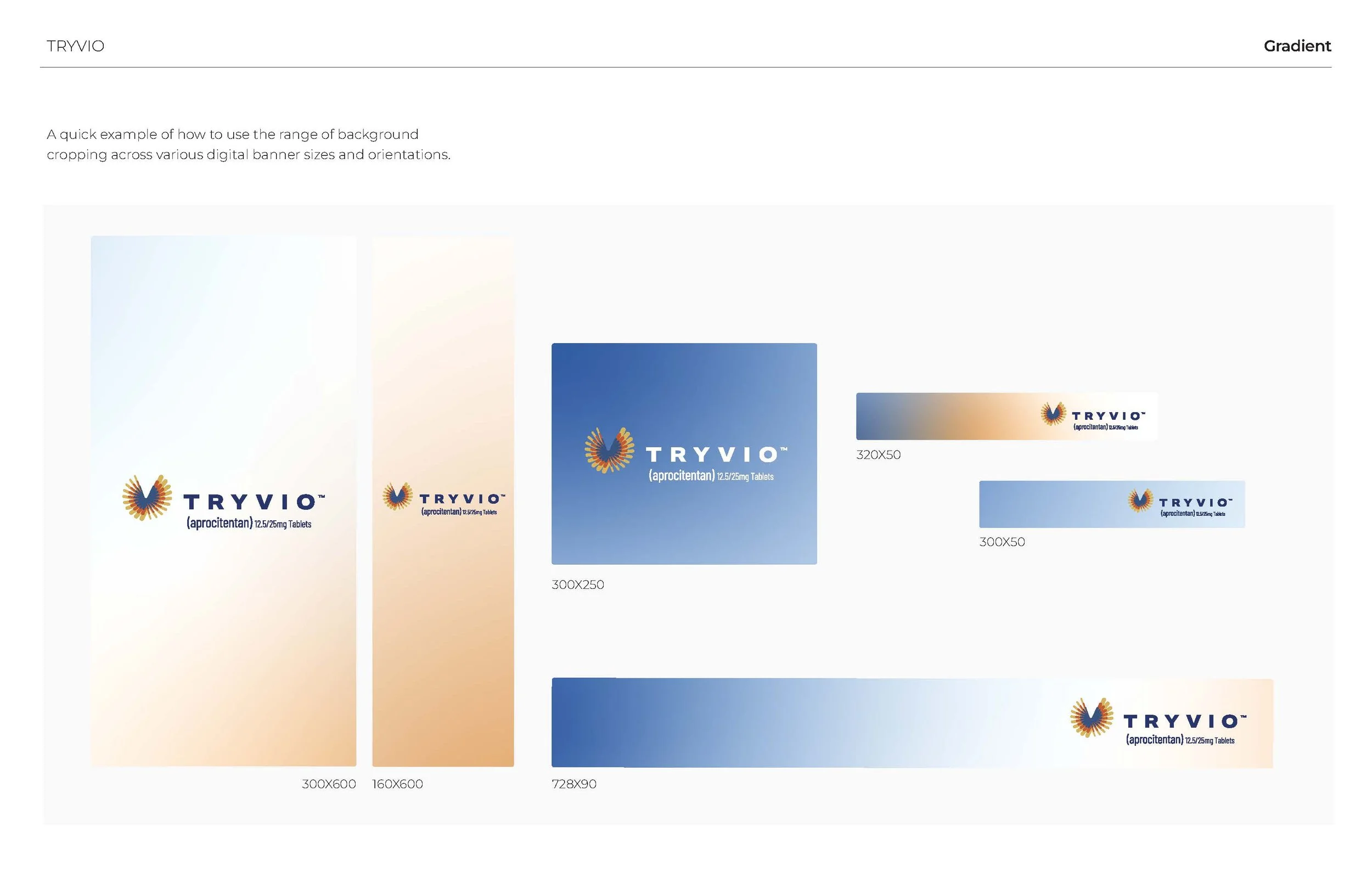 Branding examples 2025_Page_11.jpg