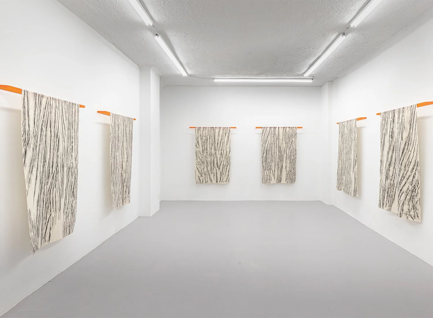 Installation view,  Holly Ward, "Soft Rebellion."
