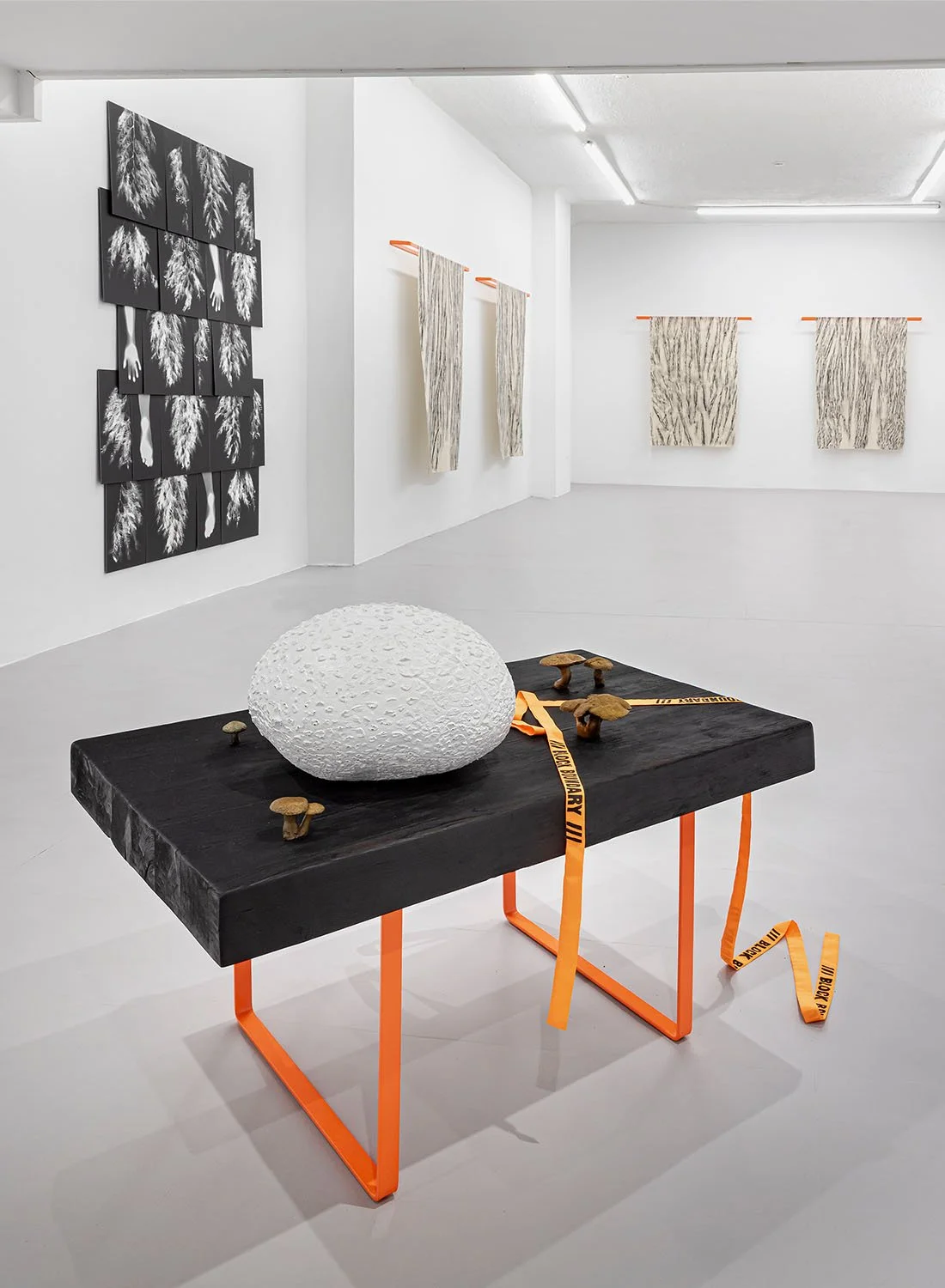 Installation view, Holly Ward, "Soft Rebellion."