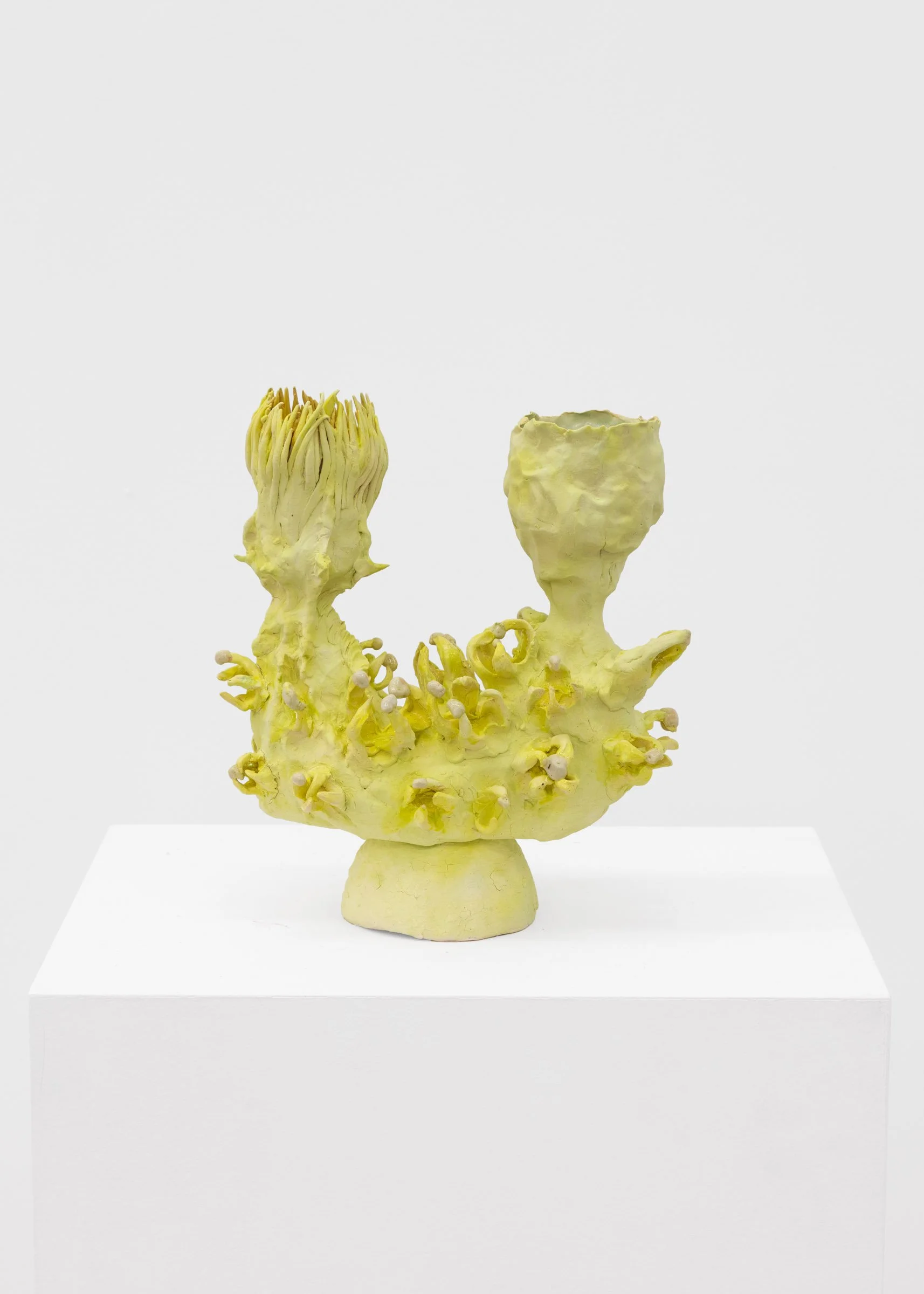 Nicole Levaque, "From Fruit to Flower", 2025
Glazed stoneware;  10" x 9.5" x 6"