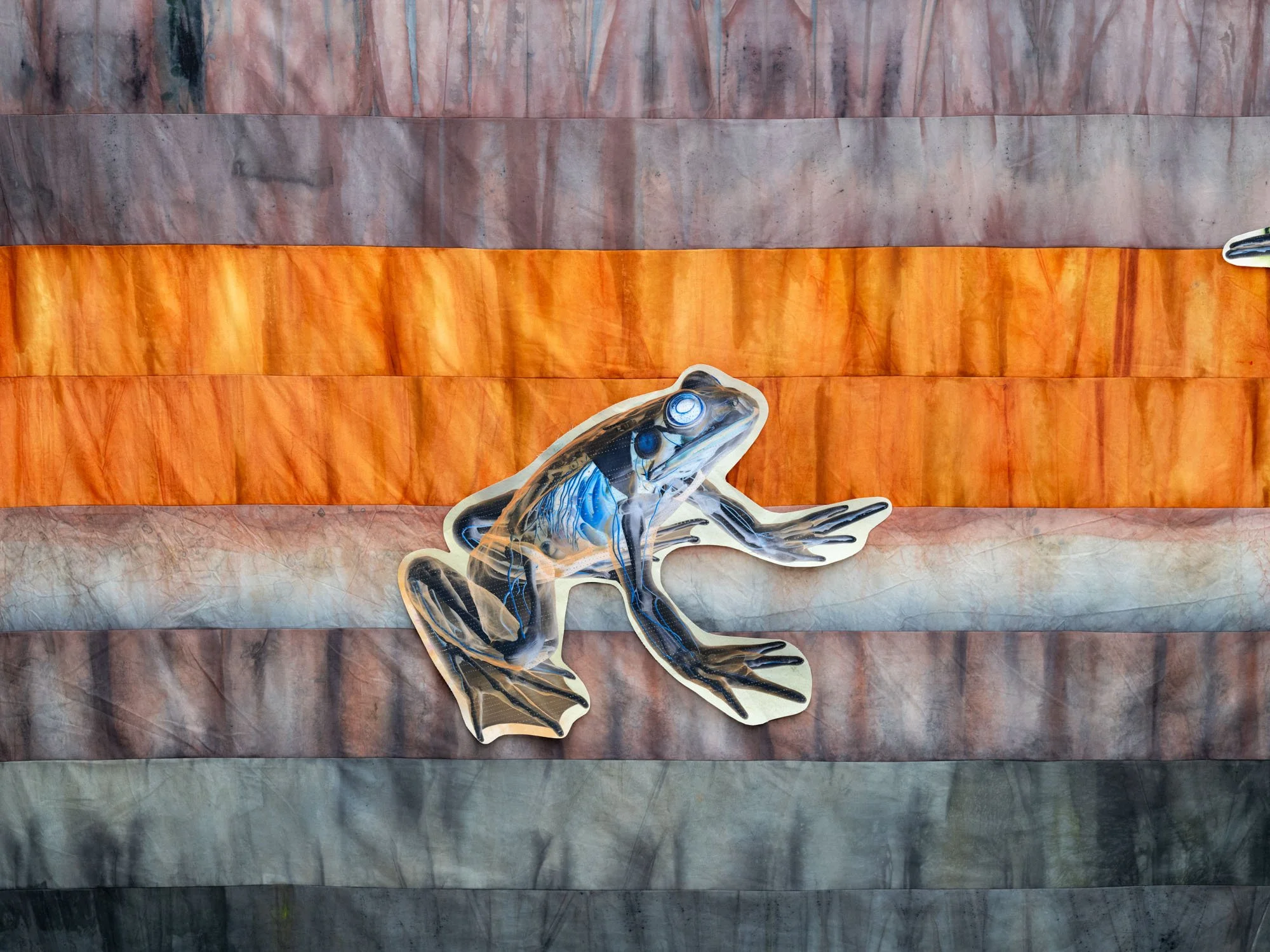 Gala Berger, "The Golden Flesh Spike" (2024), Frogs: digital sublimation and mud and sangre de grado on fabric. Dimensions variable.