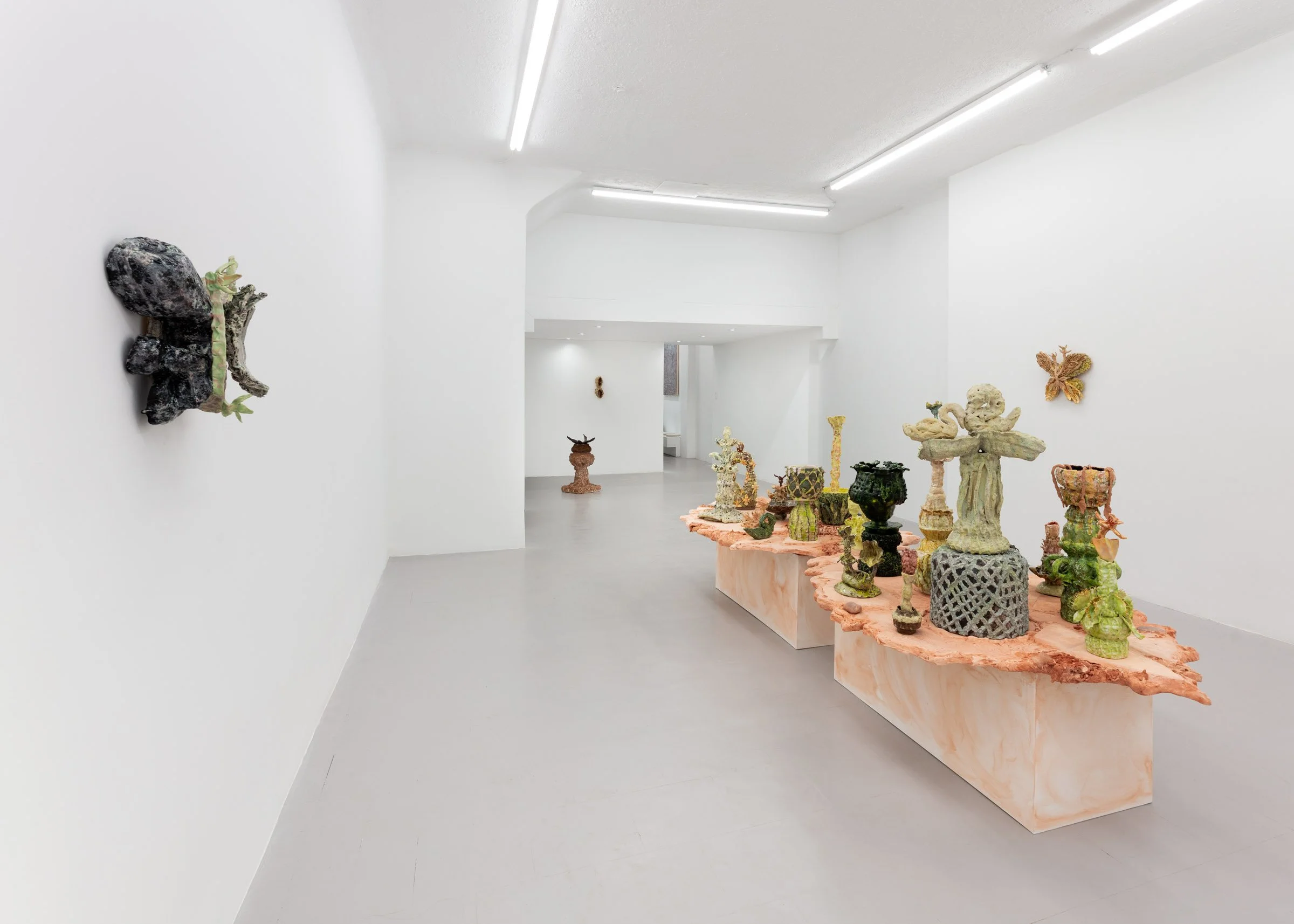 Installation view, Nicole Levaque, "From Fruit to Flower"