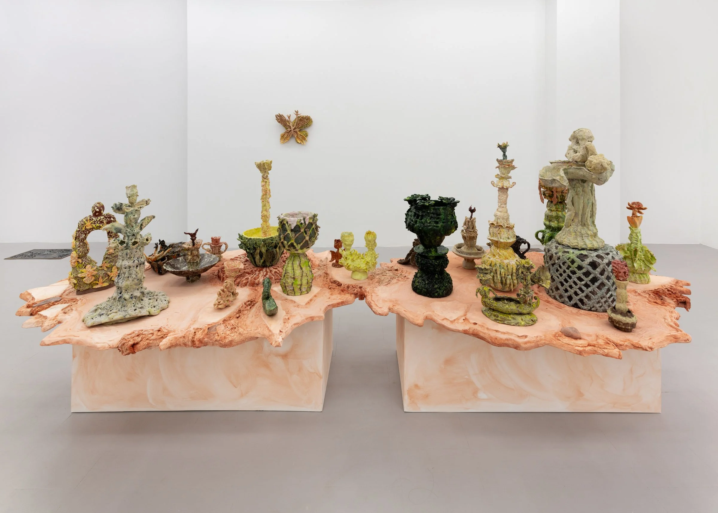 Installation view, Nicole Levaque, "From Fruit to Flower"