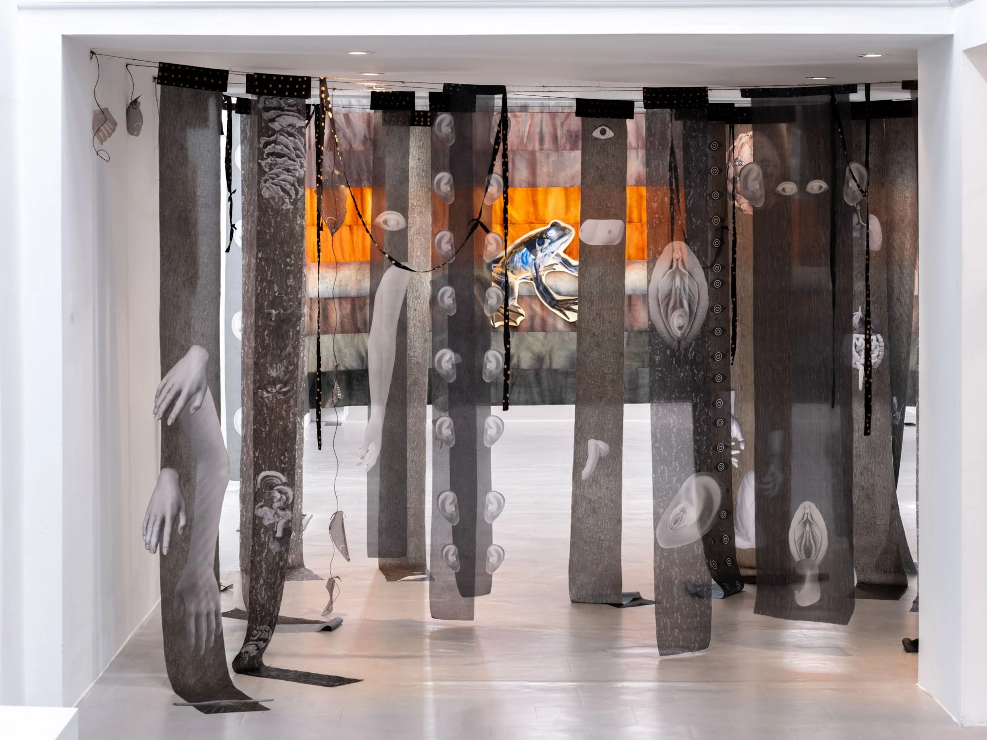 Gala Berger "Was It Your Fire?" (2024), Organza fabrics from Ciudad de México, Lusaka, Toronto, Montreal and Lima. Printed on digital sublimation. Dimensions variable.