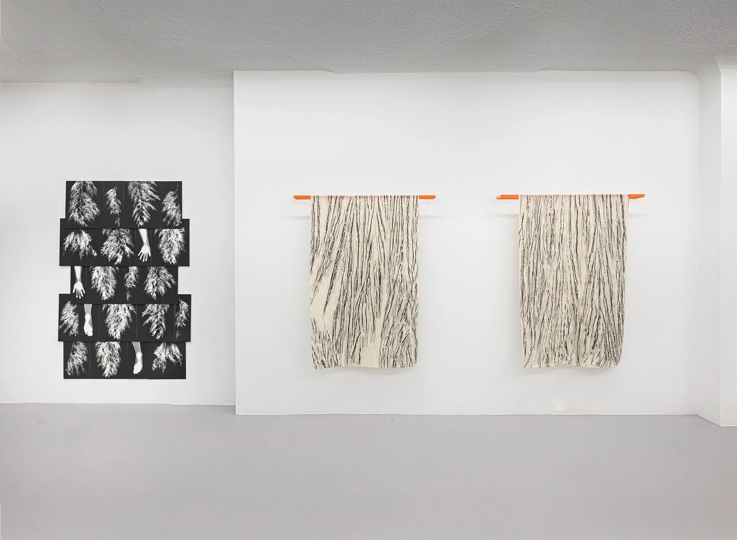 Installation view, Holly Ward, "Soft Rebellion."