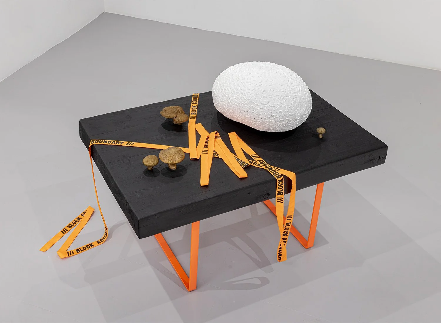 Holly Ward, "After the Fire" (2025), Torched cedar, powder-coated steel, bronze, acrylic on silicone foam, ink on nylon. 29''h x 24''w x 36''d.