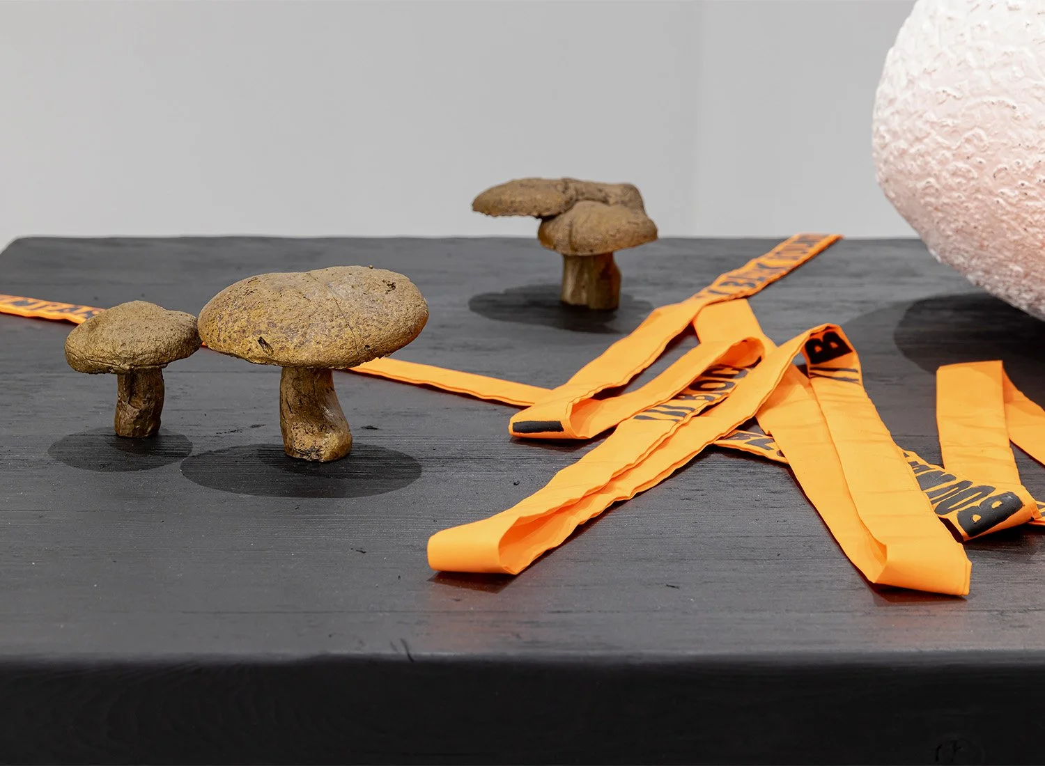 Holly Ward, "After the Fire" (2025), Torched cedar, powder-coated steel, bronze, acrylic on silicone foam, ink on nylon. 29''h x 24''w x 36''w.