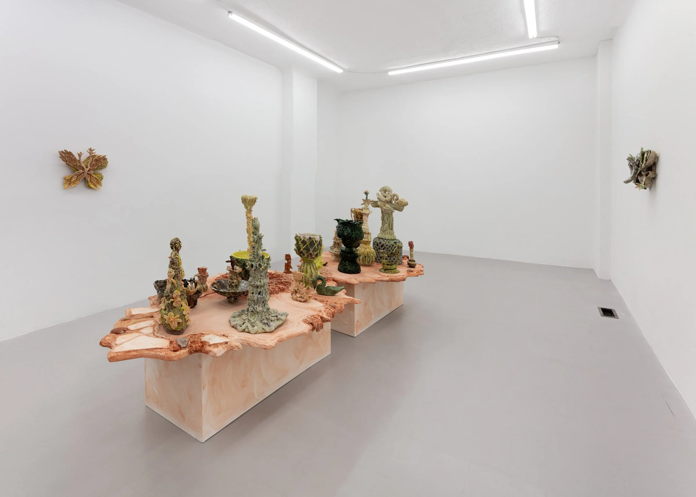 Installation view, Nicole Levaque, "From Fruit to Flower"