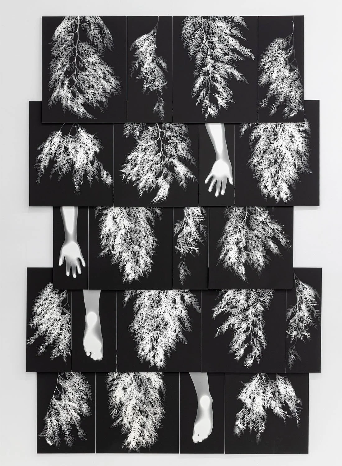 Holly Ward, "Limbs" (2025), Fiber-based black & white photo paper on diebond. 79.25''h x 53''w.