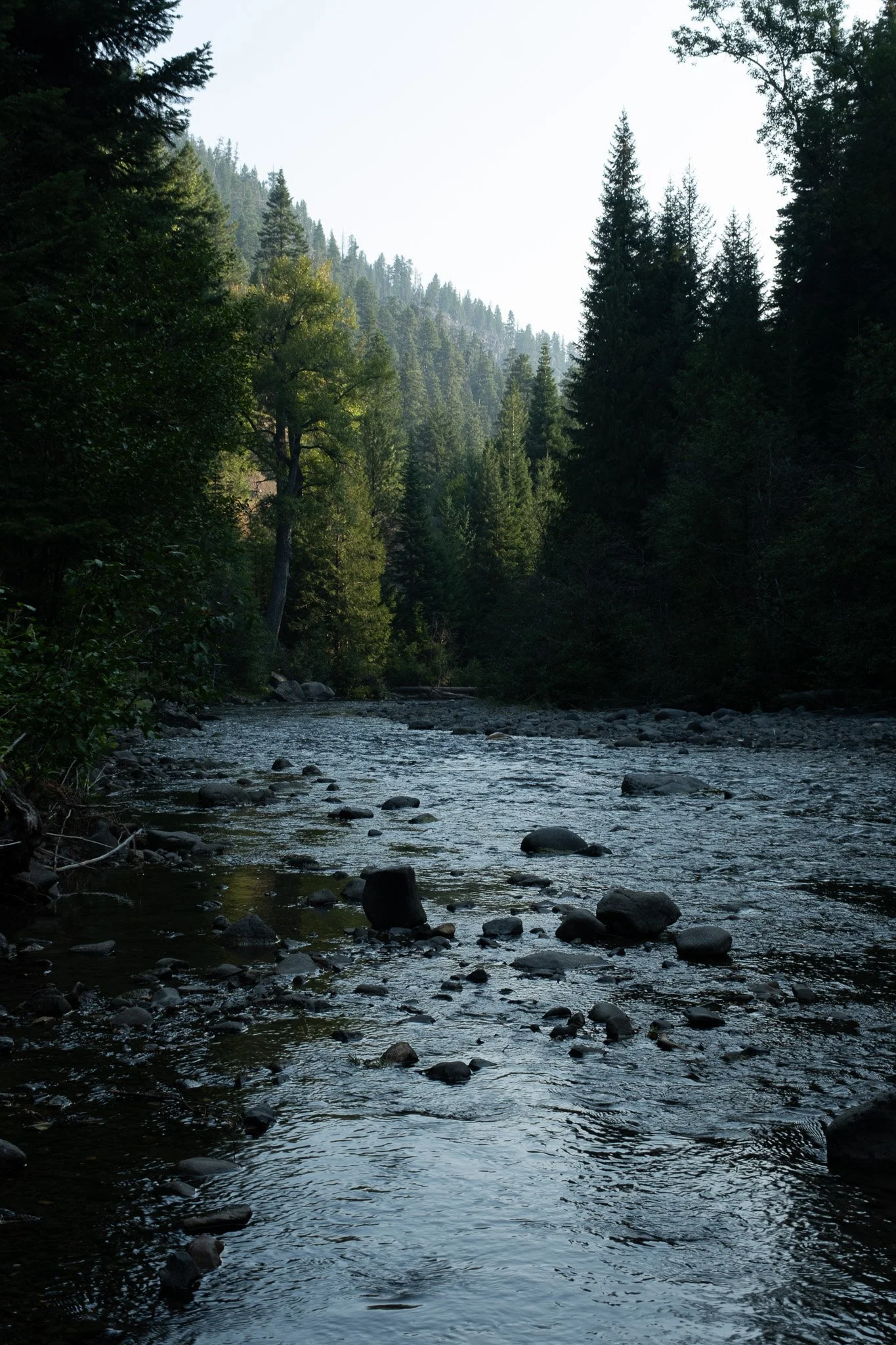 _DSF2865.jpg
