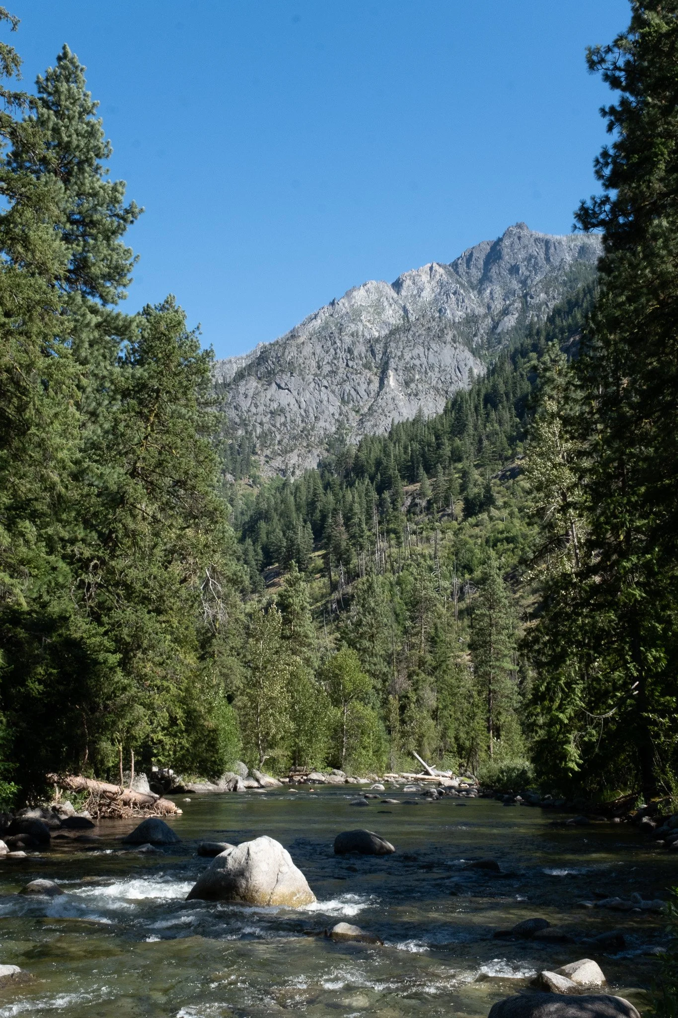 Icicle Creek