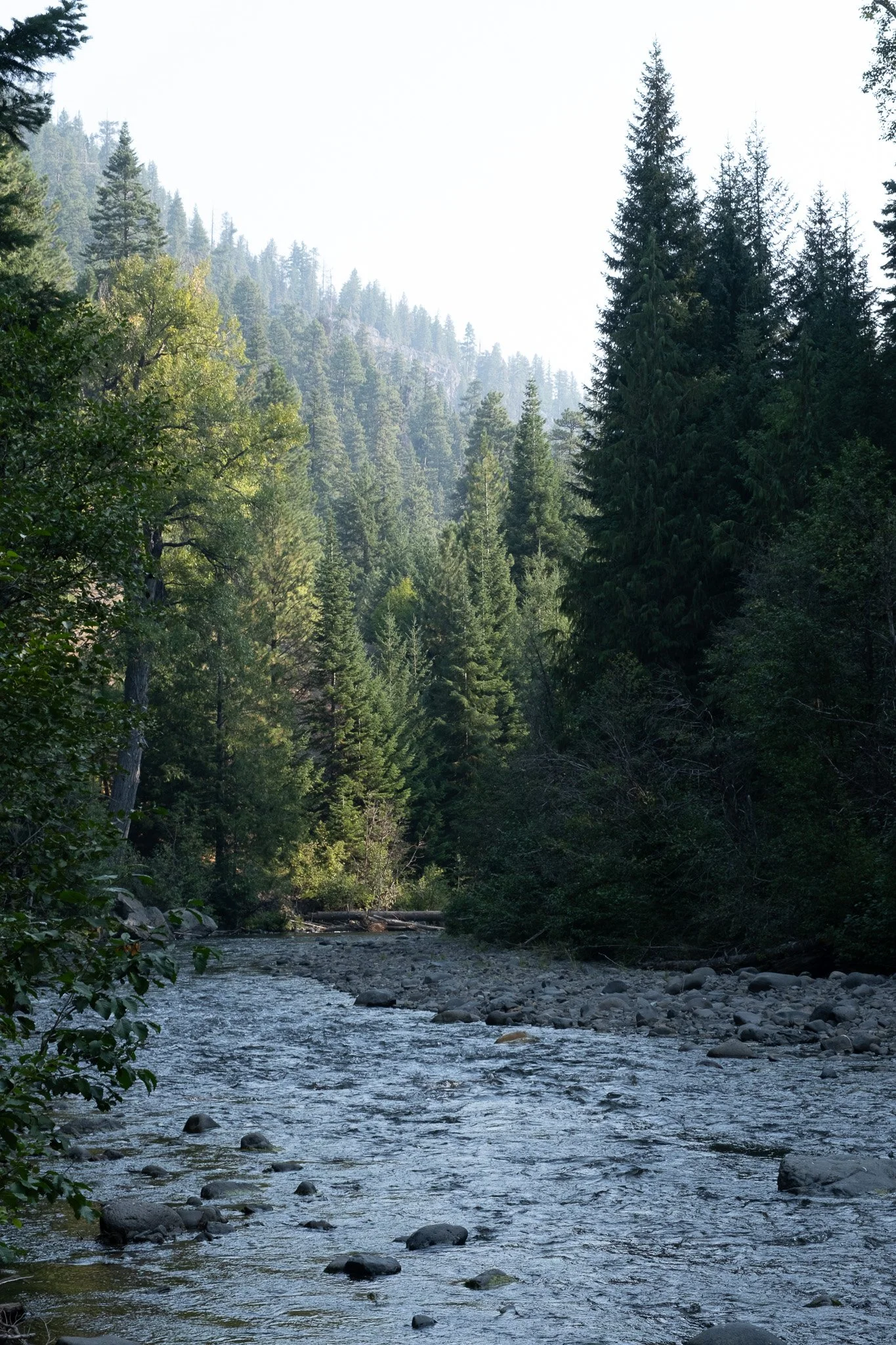 _DSF2891.jpg