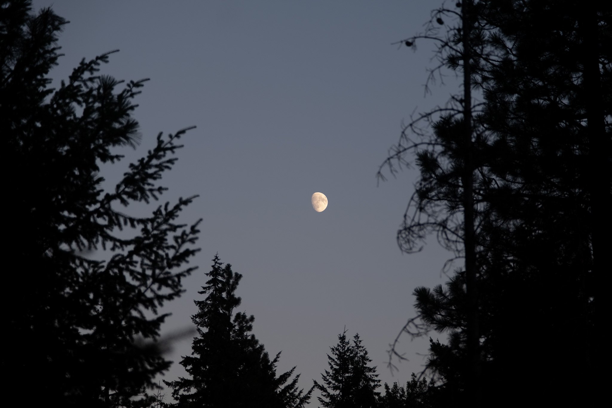 _DSF2570.jpg