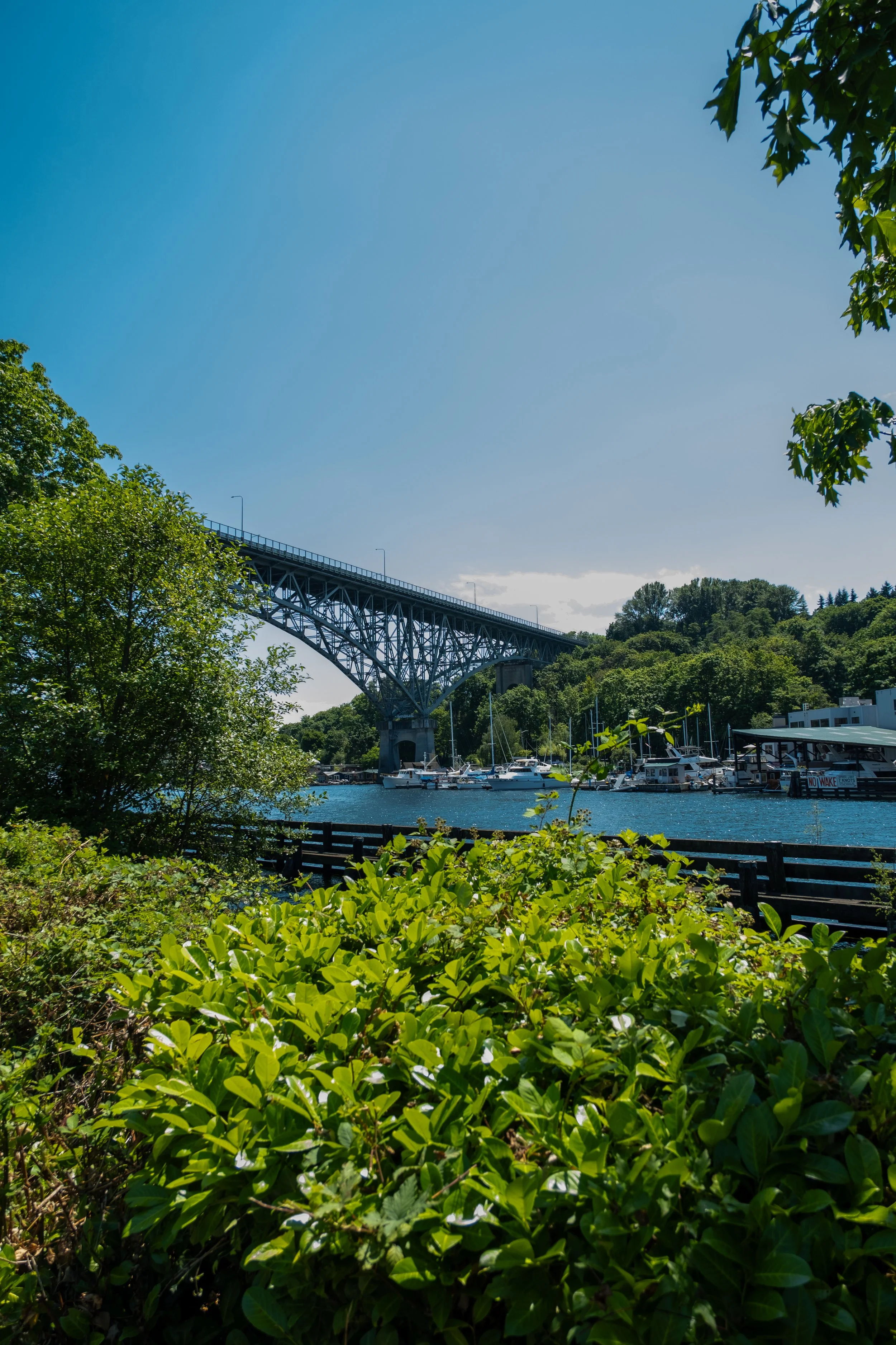 Fremont Bridge