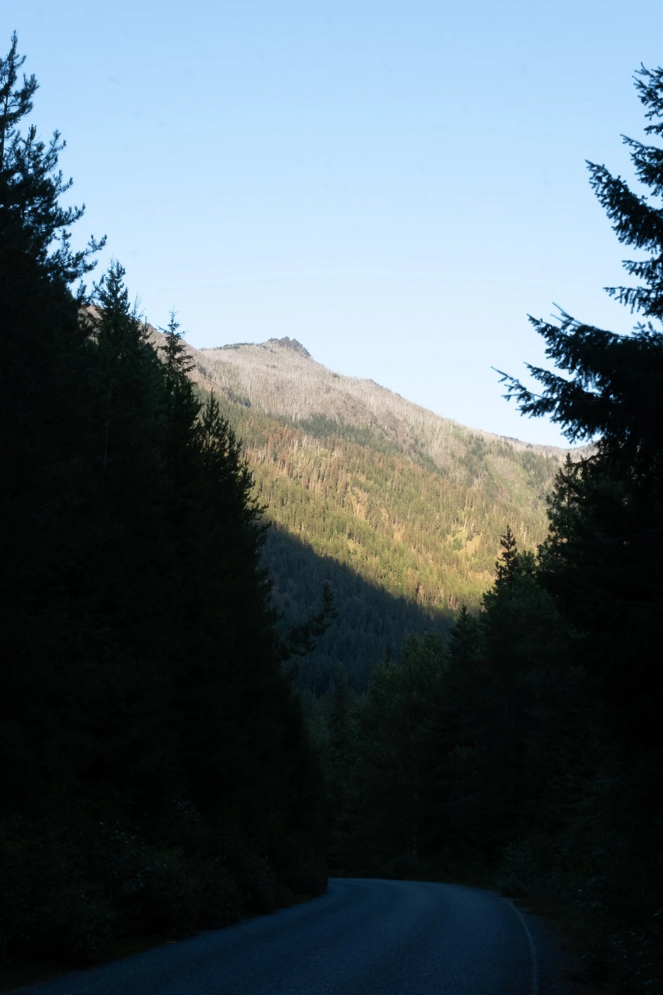 _DSF2061.jpg