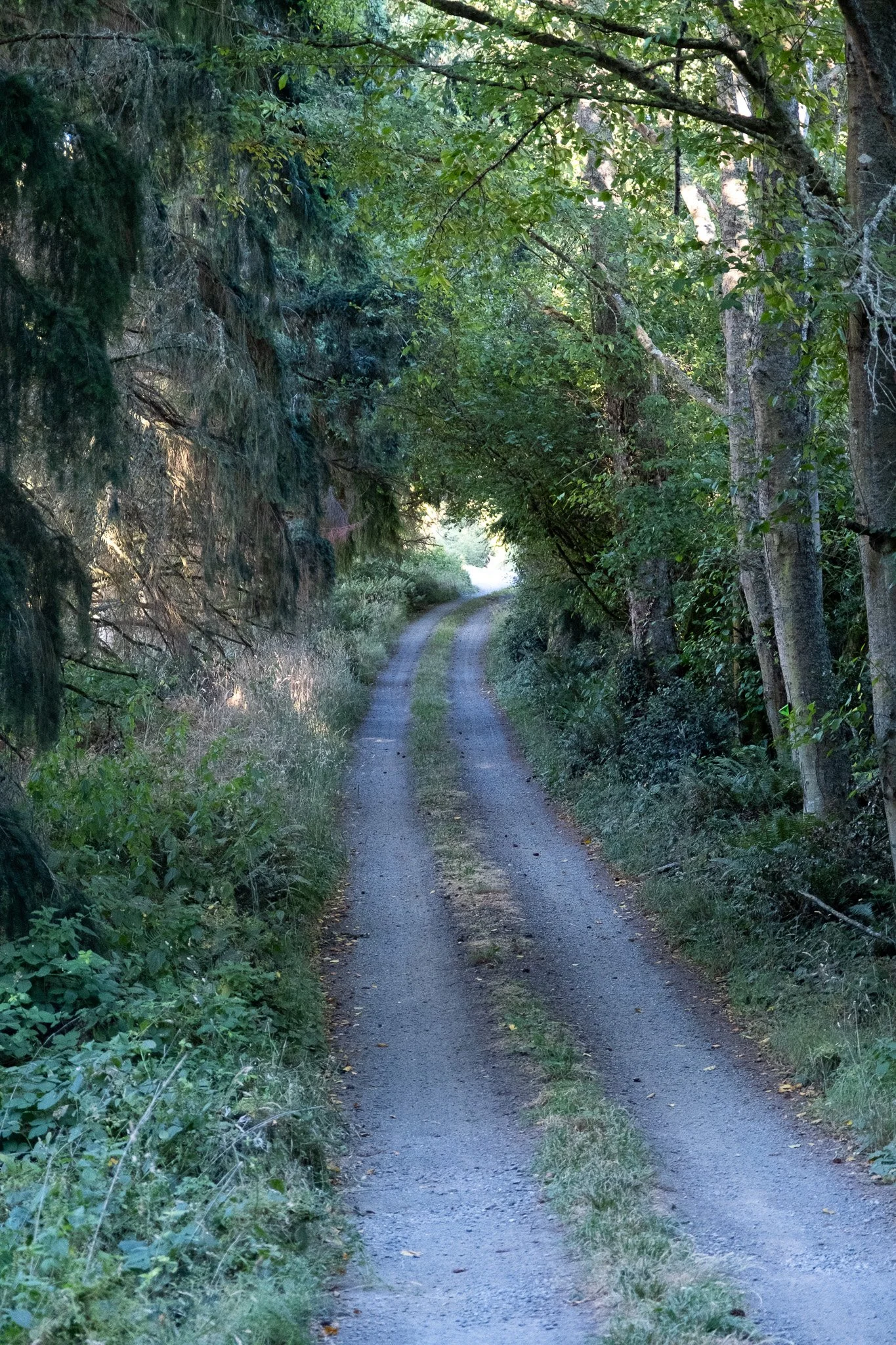 _DSF2494.jpg