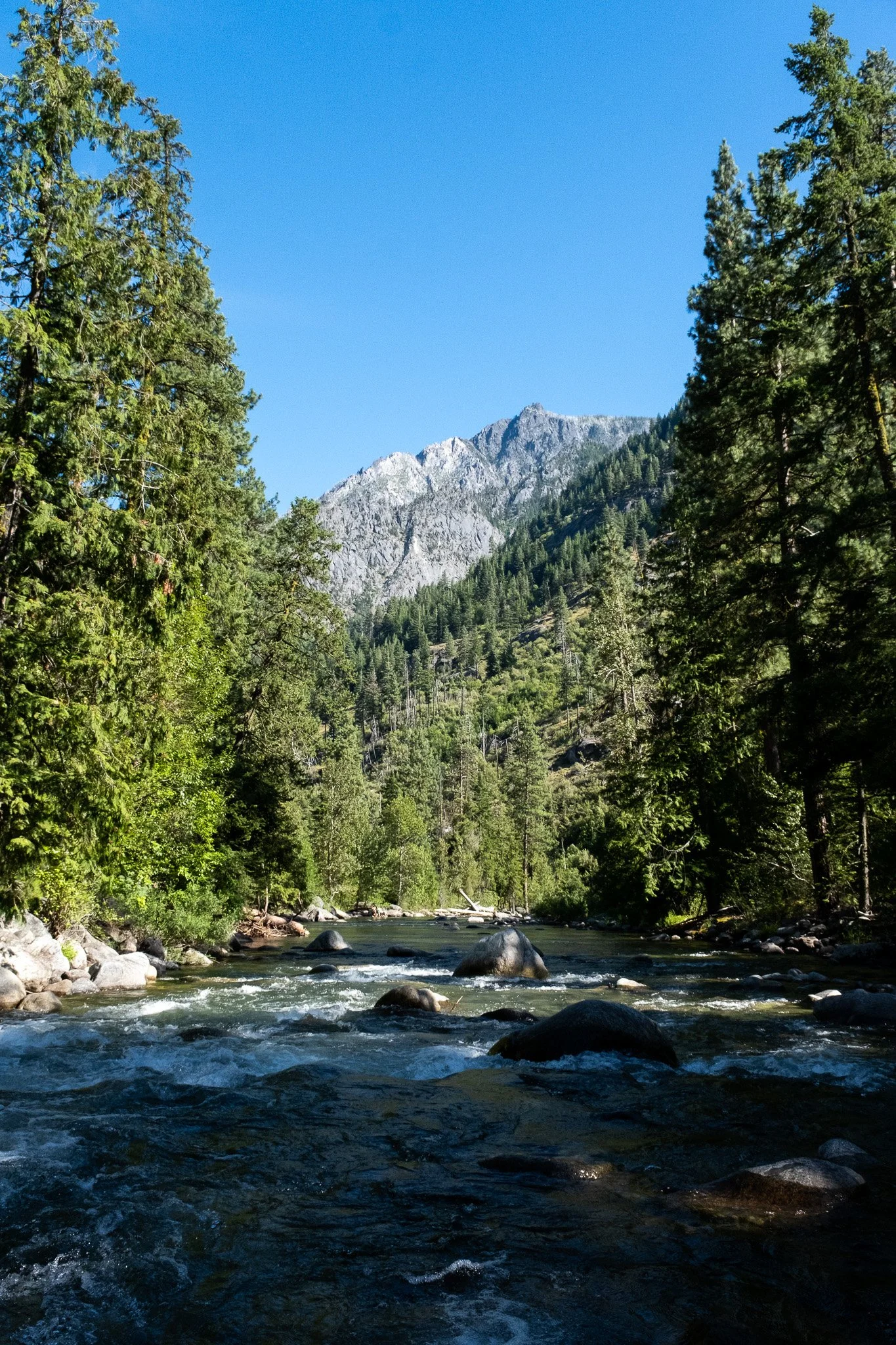 _DSF2226.jpg
