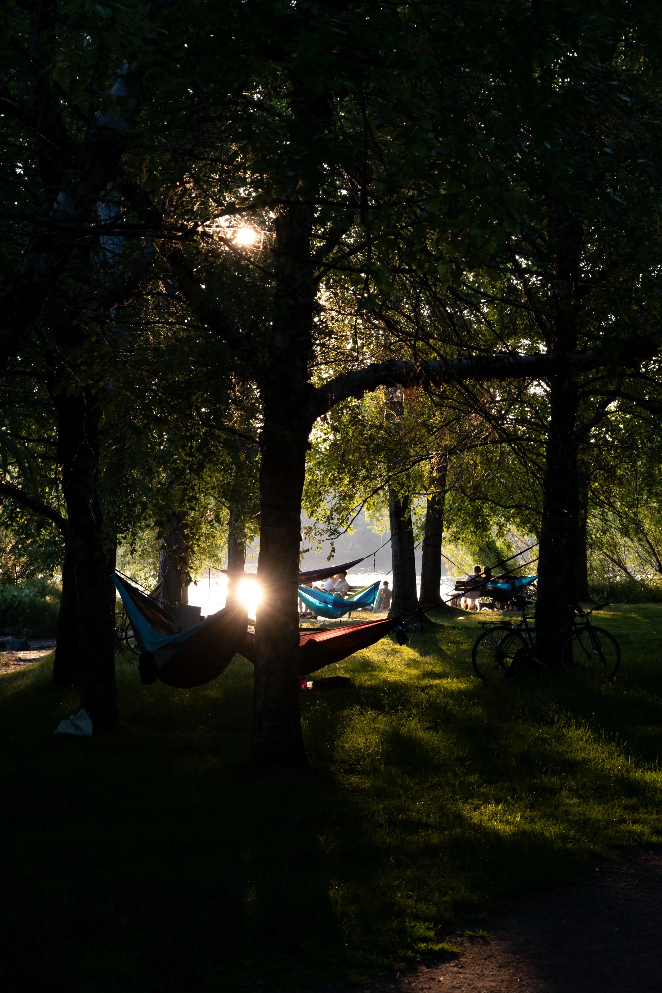Greenlake Waterfront
