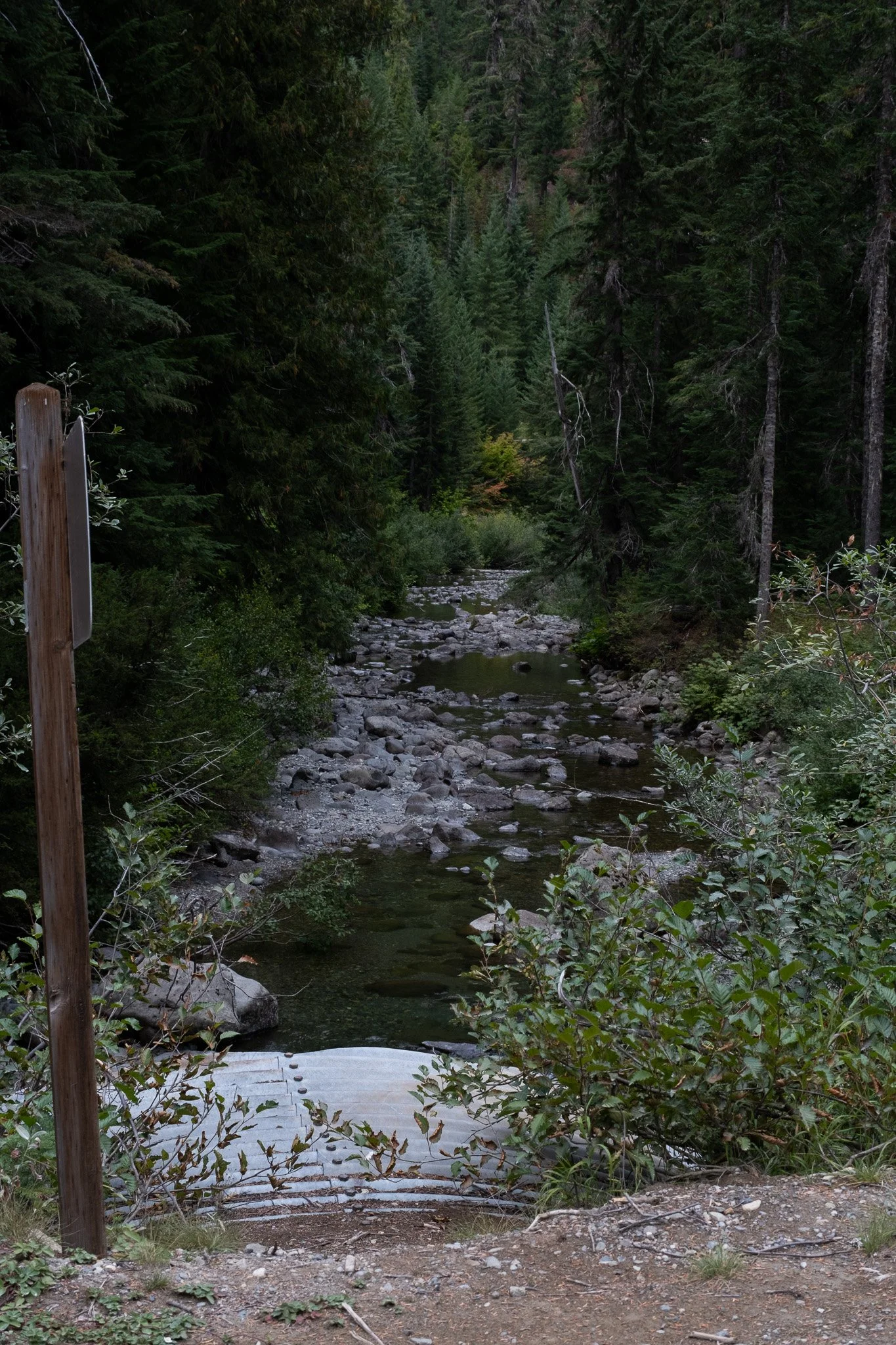 _DSF3182.jpg
