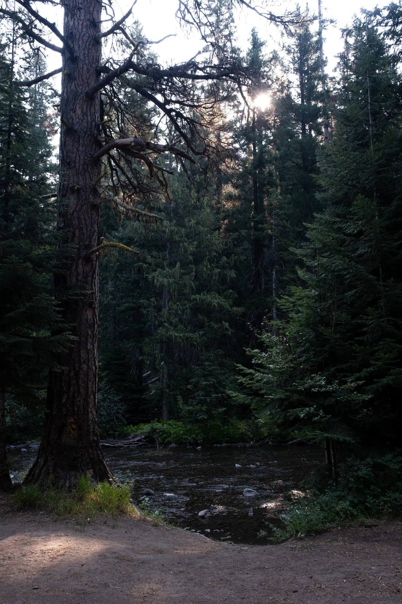 _DSF2883.jpg