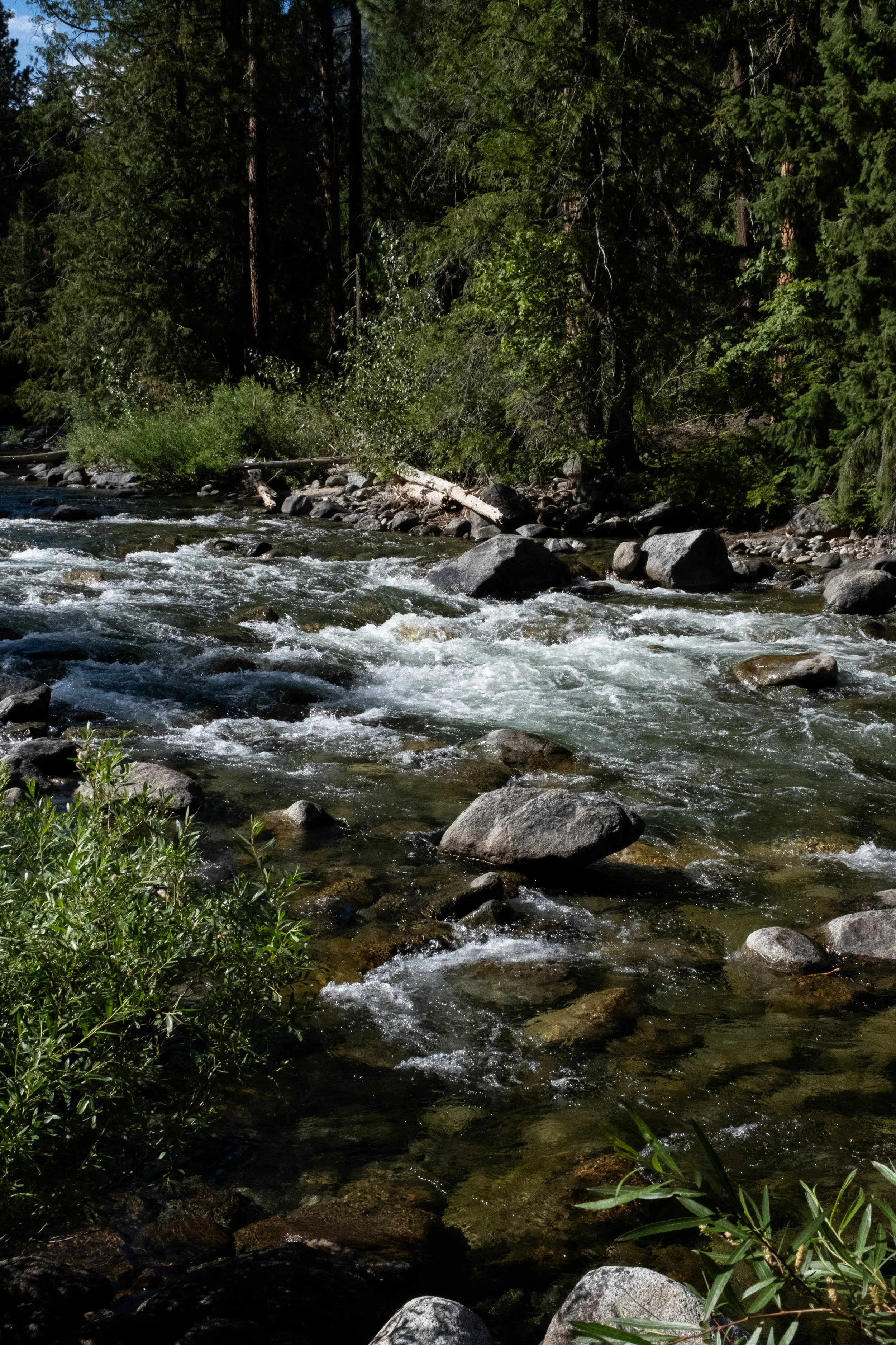 Icicle Creek