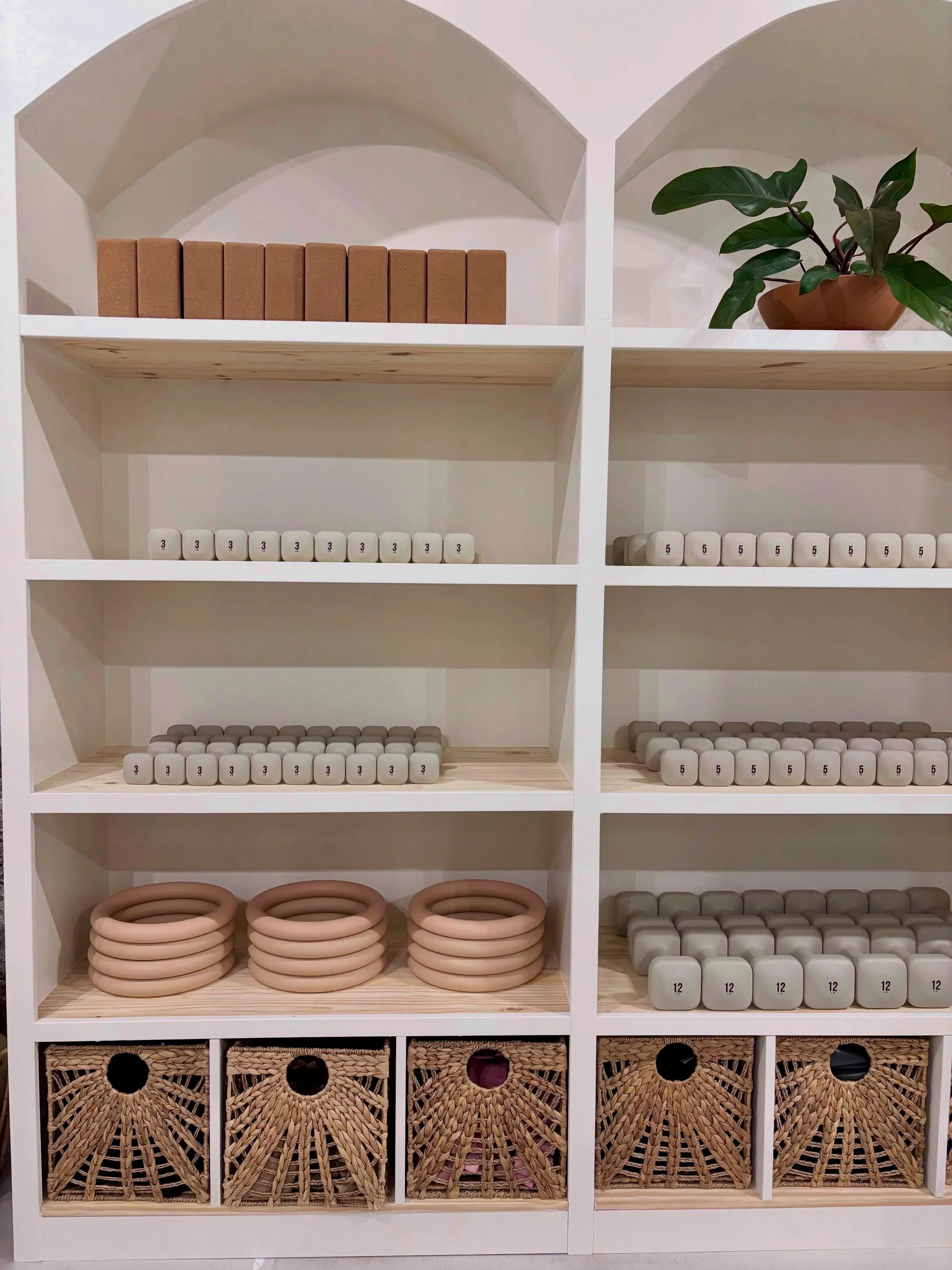 New weights just in time for Day 1 of our Rise Fall Reset 😍

We&rsquo;re officially kicking off four weeks of moving, showing up, and getting a little stronger together. And yes, we have some new toys to play with along the way 🔥

Take 10+ classes 