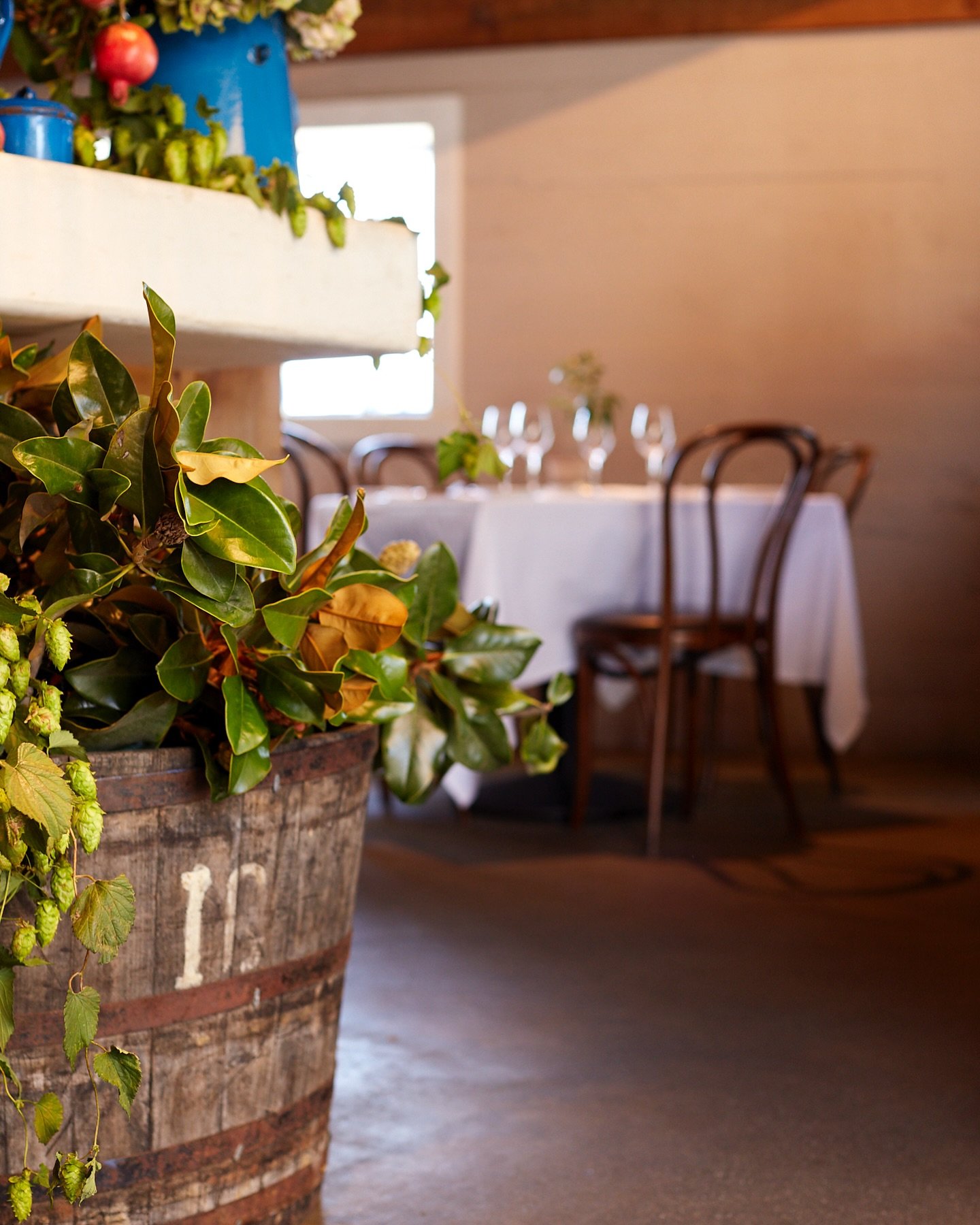 We have just a few spots left for Thanksgiving dinner. Please call the restaurant to book: 707-252-8115.