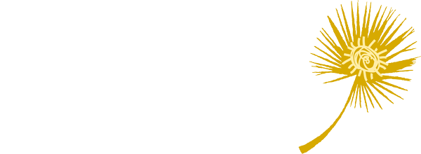 Nukutepipi