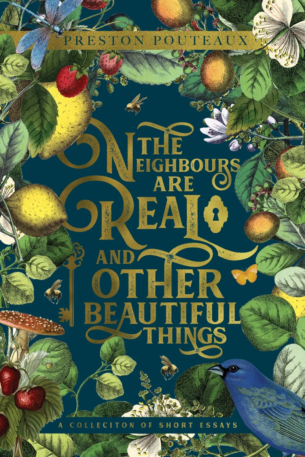 pp_bookcover_concept_r2.webp