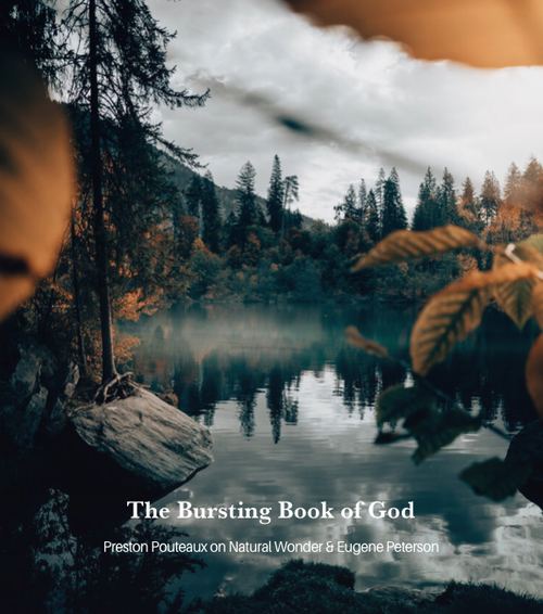 Article: The Bursting Book of God