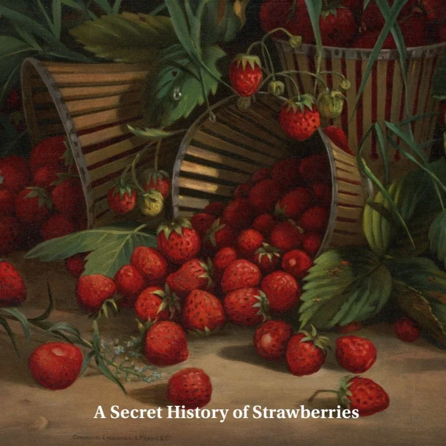A Secret History of Strawberries