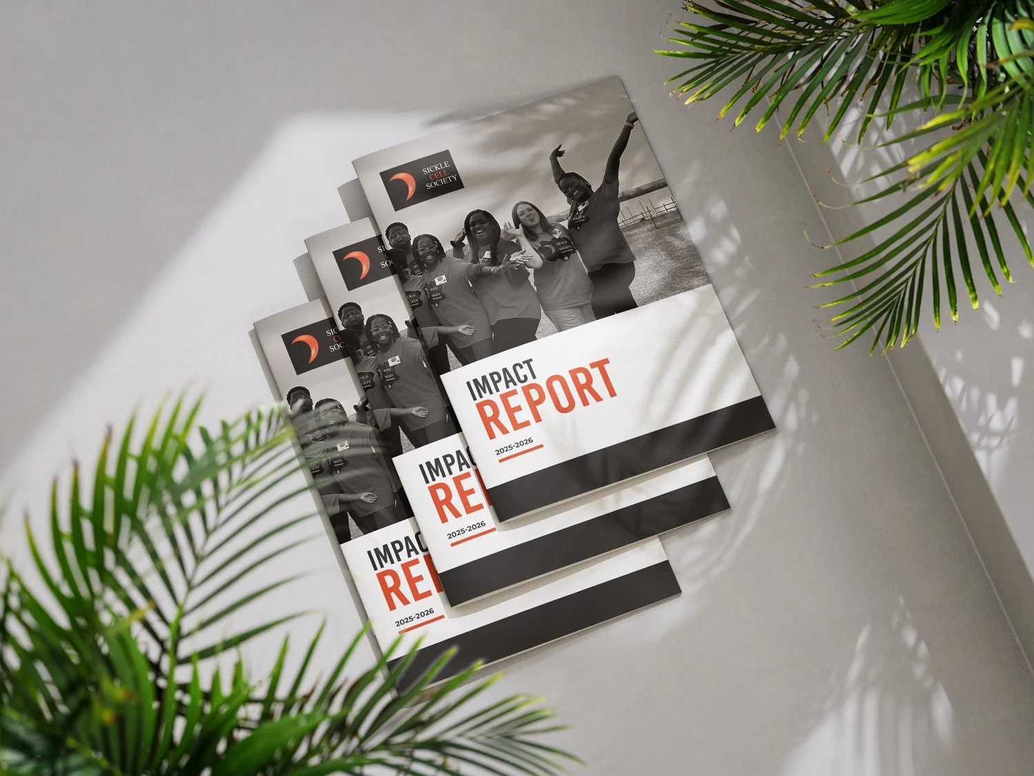 Seven questions to ask your graphic designer about your charity impact report