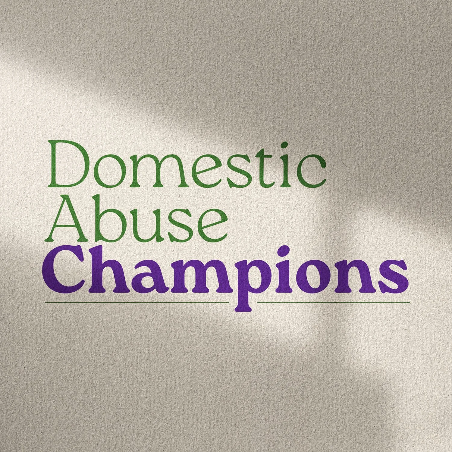Domestic Abuse Champions
