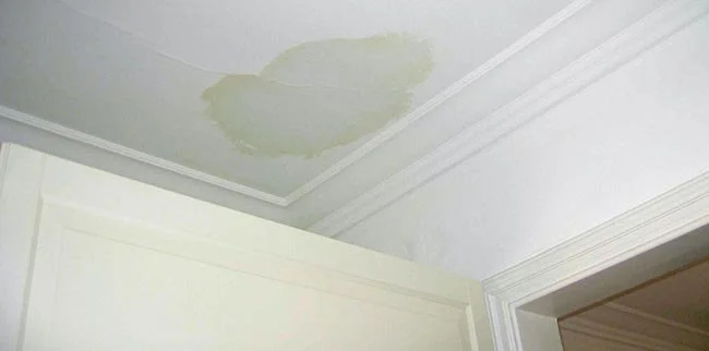 Can a Small Leak Really Ruin Your Roof? Here’s What You Need to Know