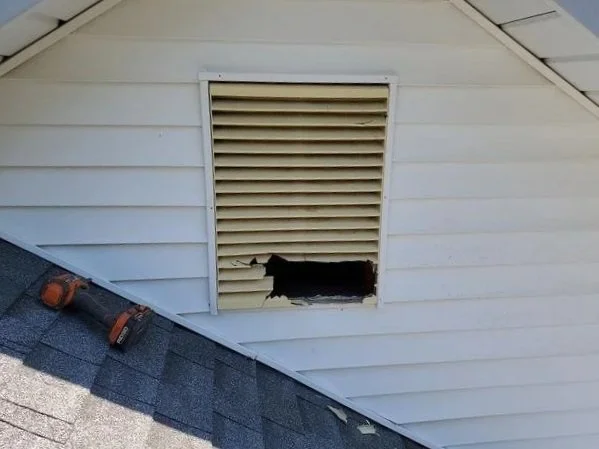 How Poor Attic Ventilation Affects Your Home’s Temperature and Energy Bills in Georgia