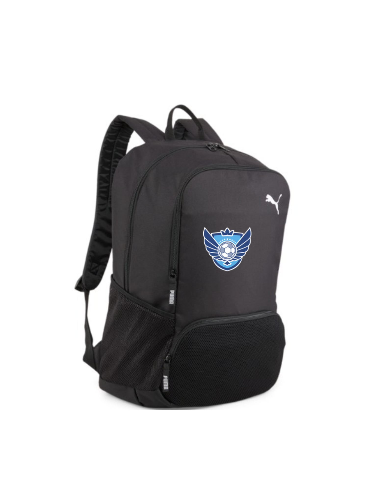 BlueJays Final.pdf.png