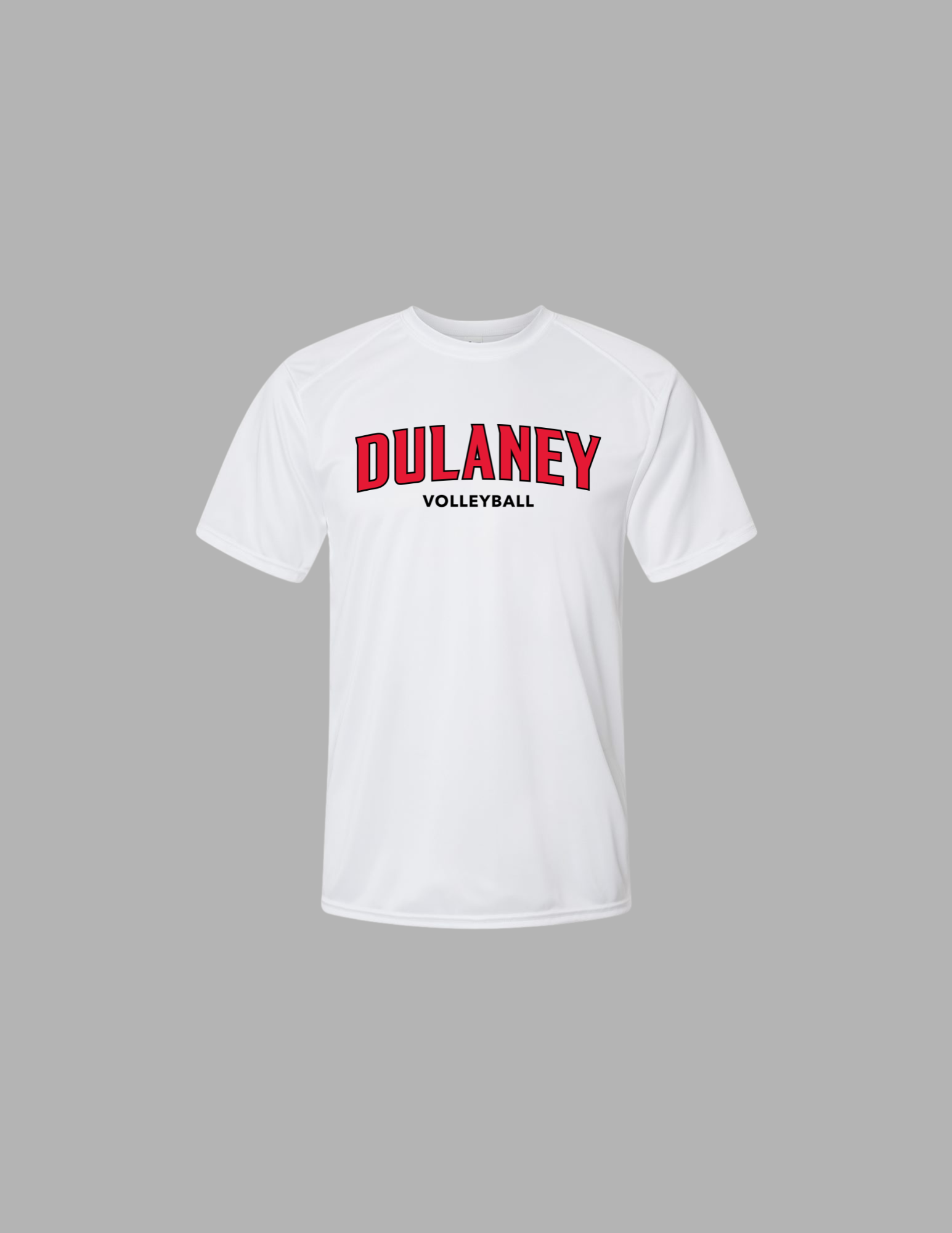 Dulaney Volleyball.png