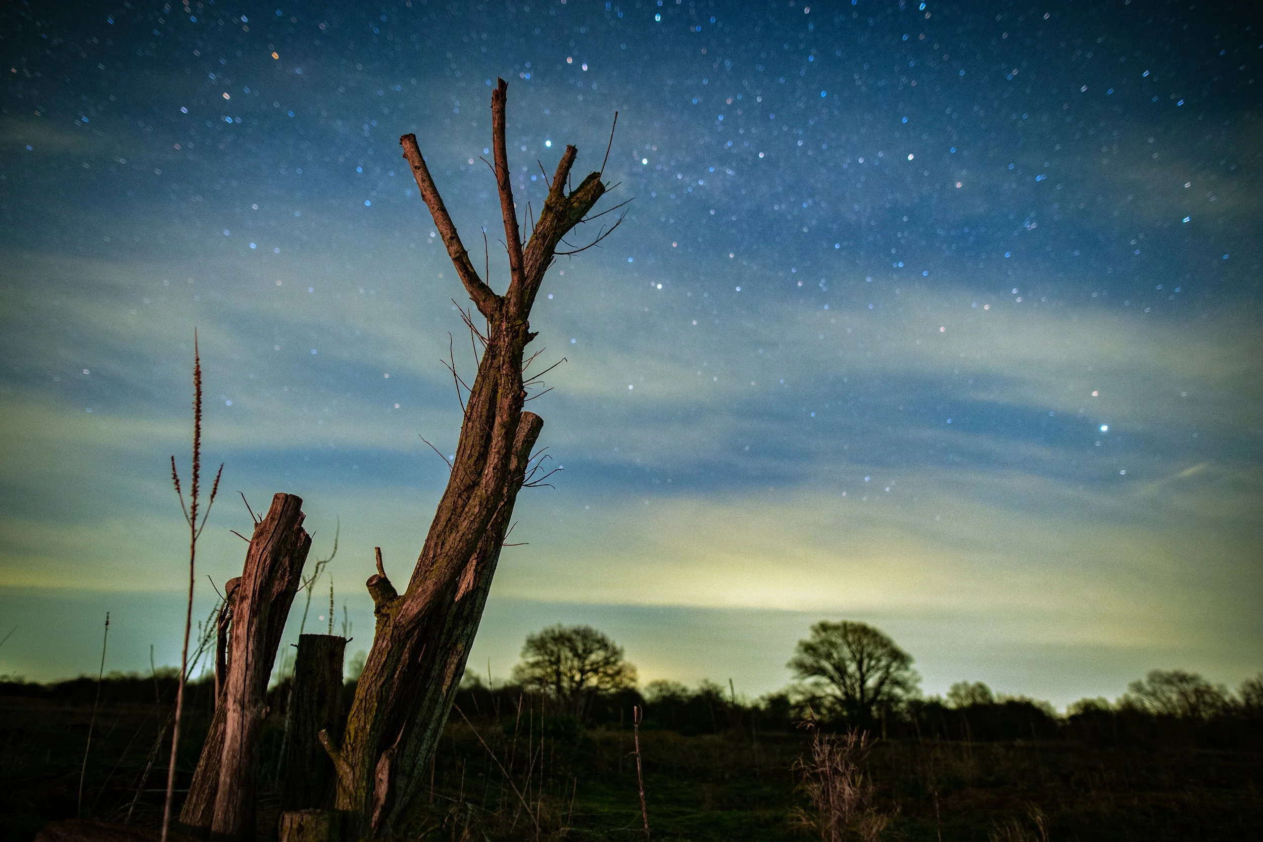 Cygnus and the Stump  (click for story)