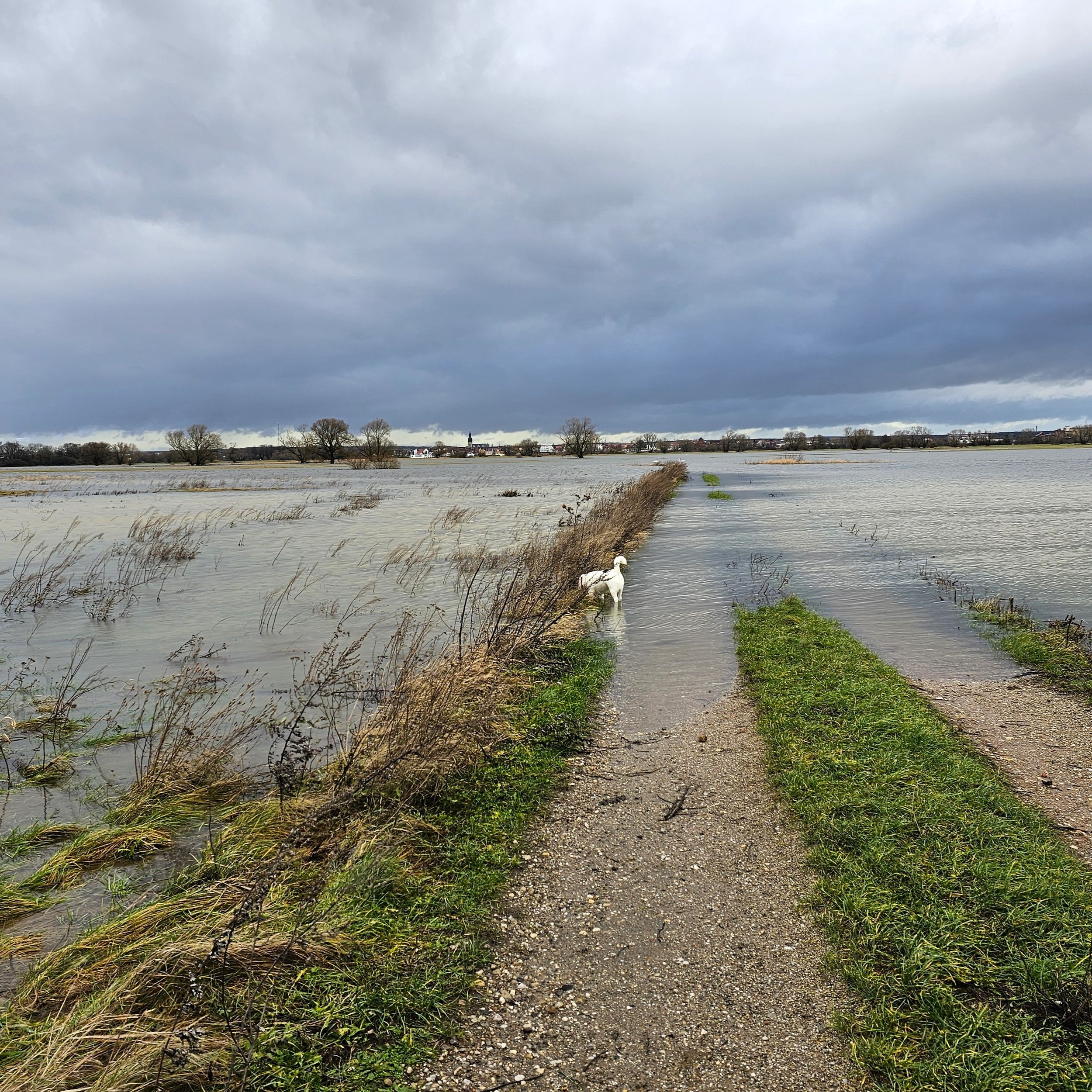 Higher water on Christmas morning