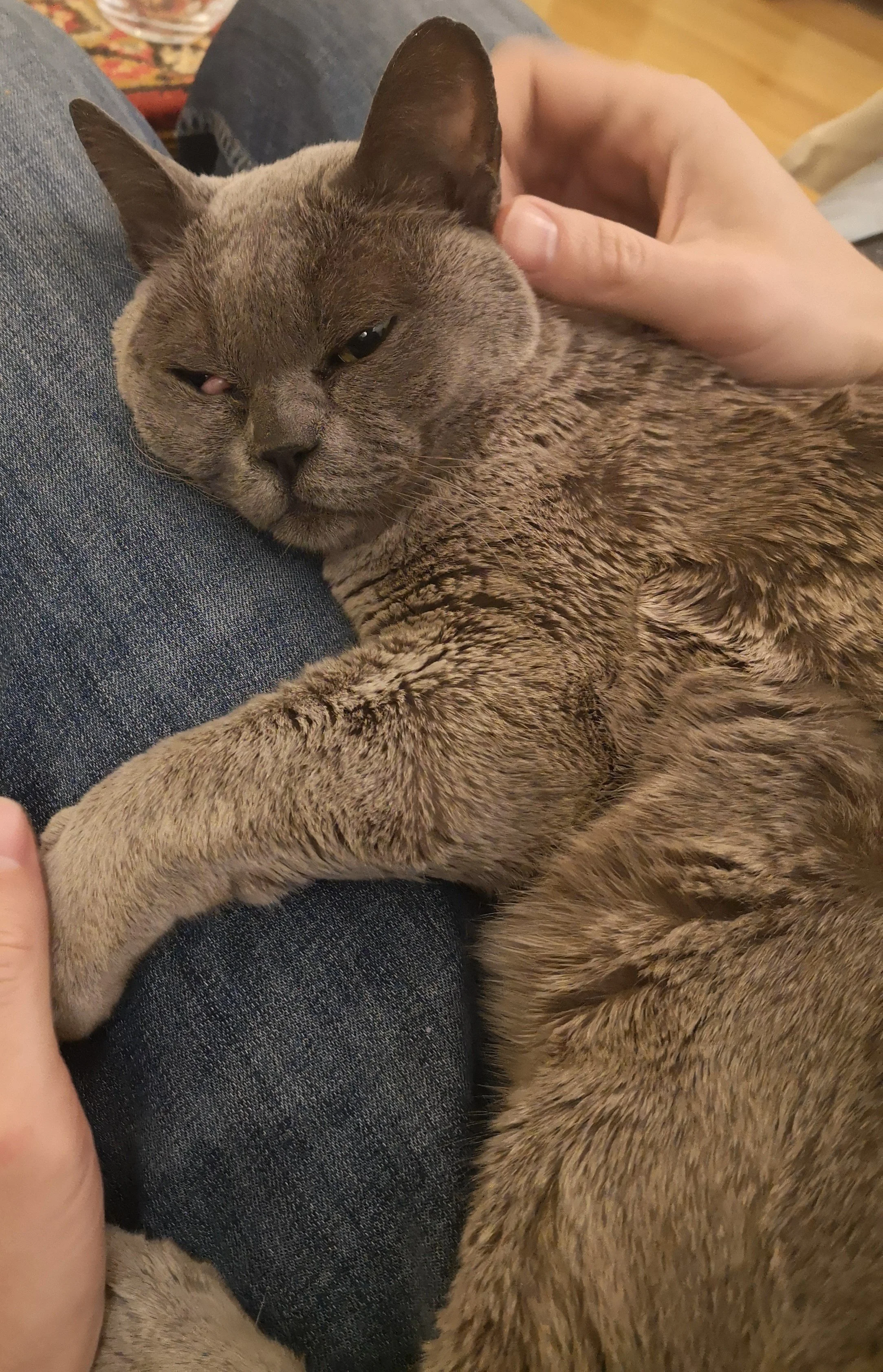  He would not last a day on the streets.  