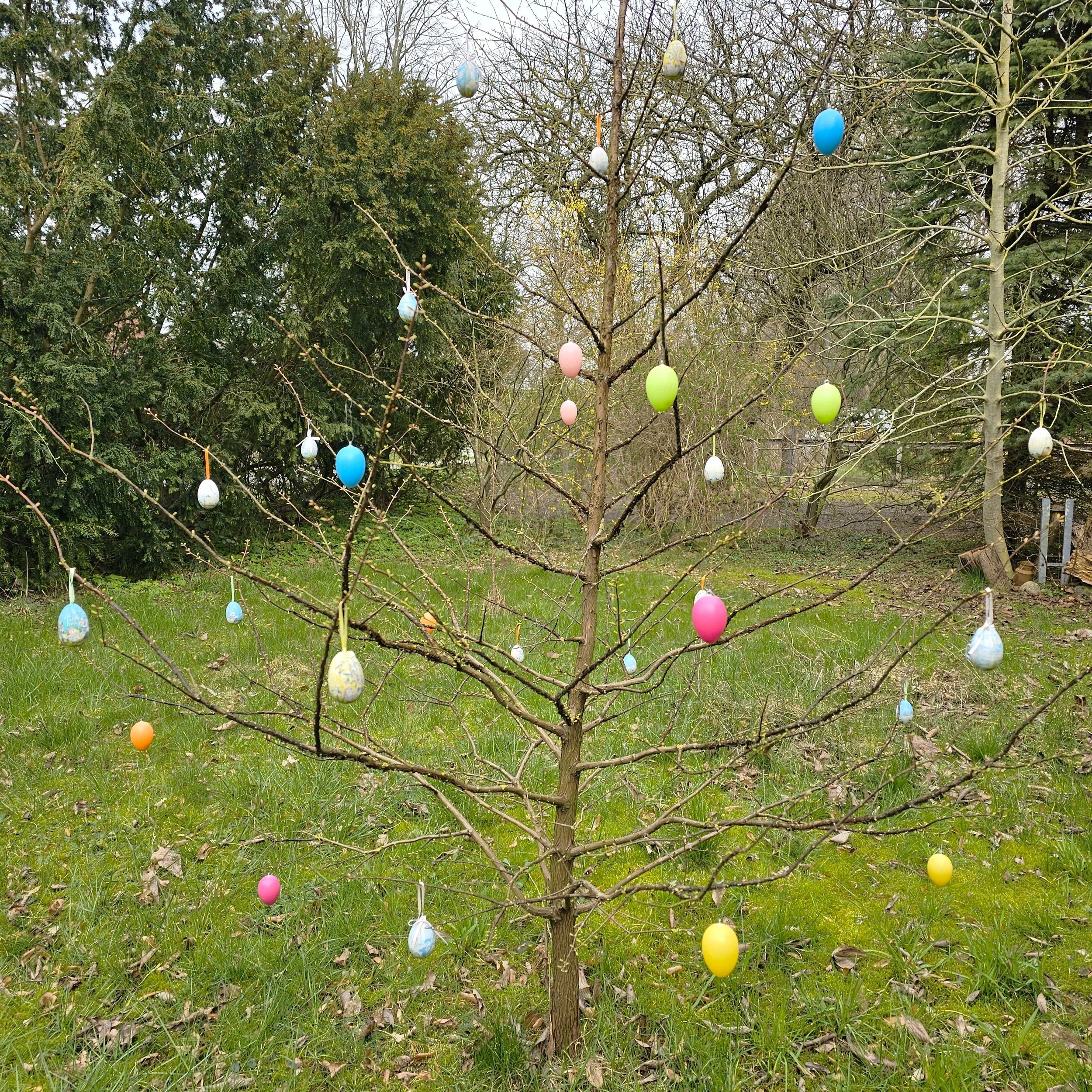 Our meager stab at an Ostereierbaum. 
