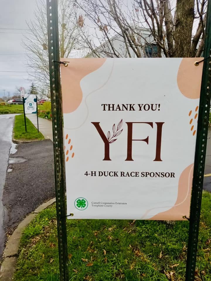 Local to Ithaca!? 🦆 Join in the event tomorrow! Ducks drop at 2 PM. Check out more on this Ithaca event here,

https://ccetompkins.org/4-h-youth/activities-events/4-h-duck-racew